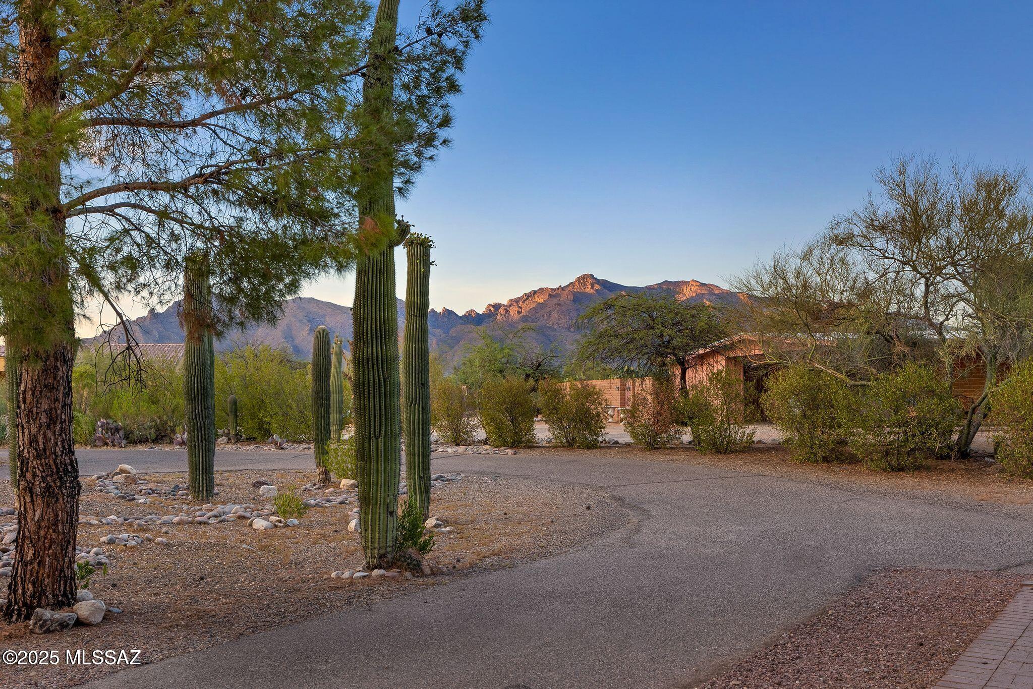 Oracle Foothills Estates NO. 5 (1-39) - Residential