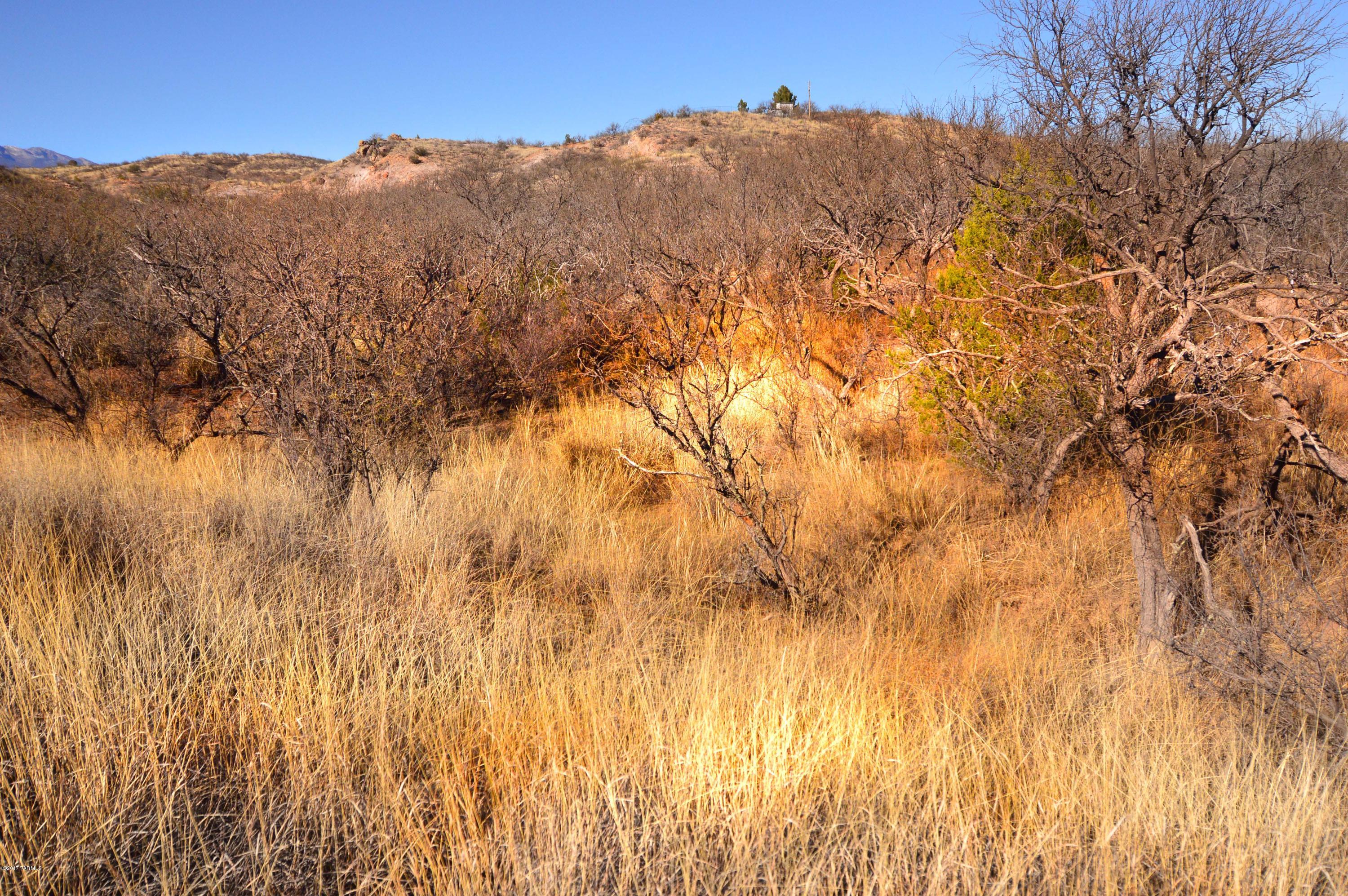 Out Of Pima County - Land