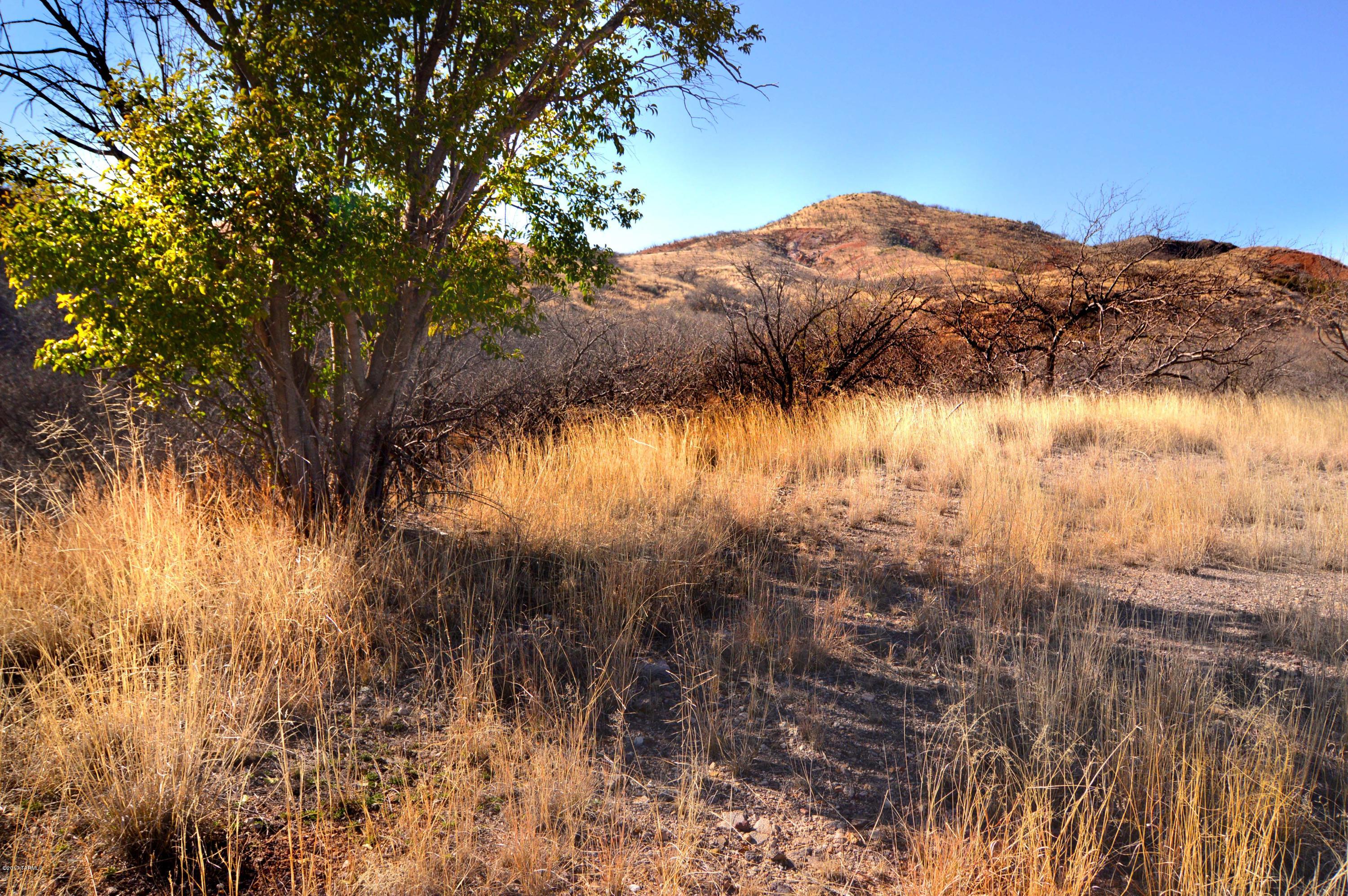 Out Of Pima County - Land