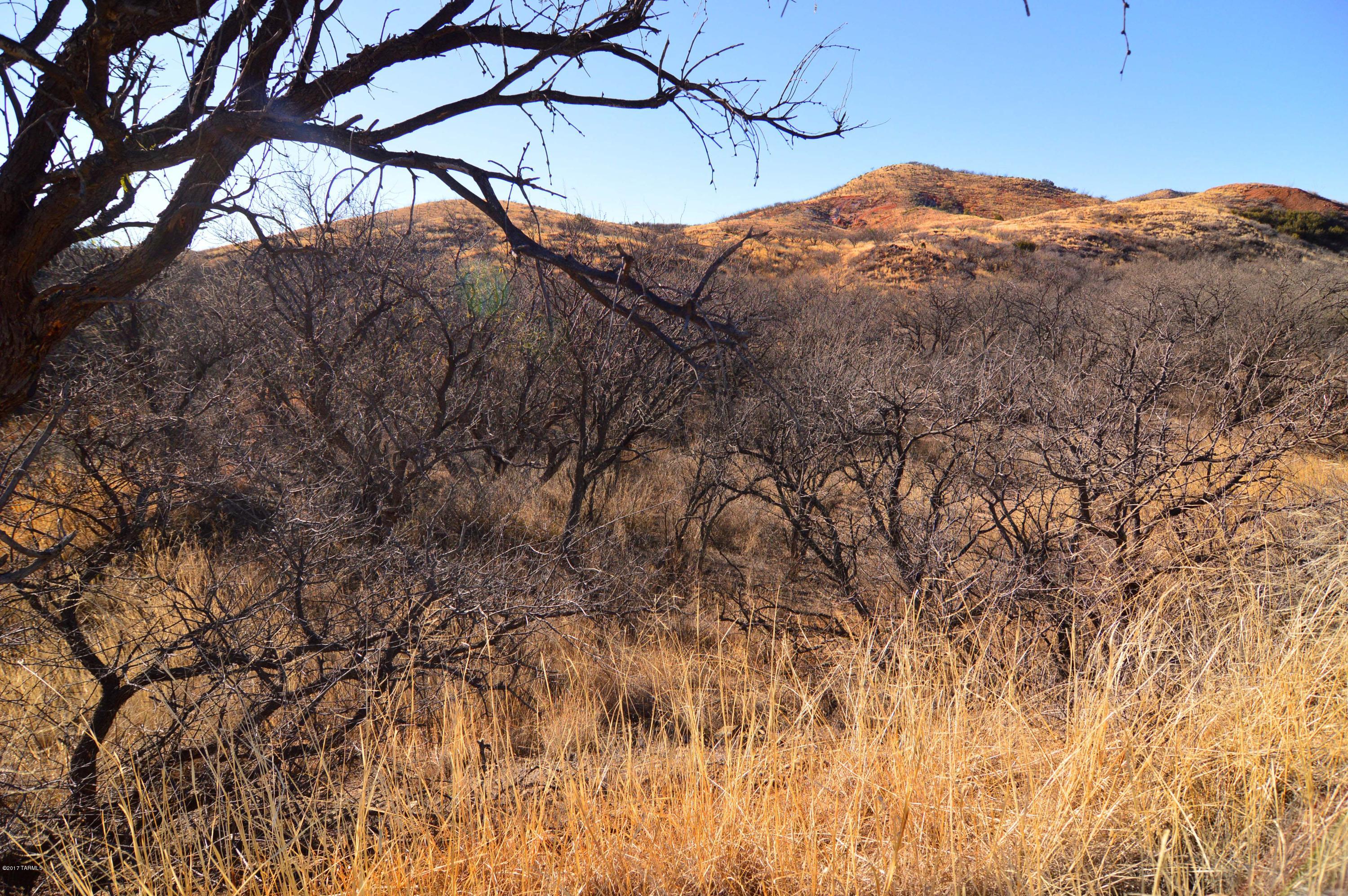 Out Of Pima County - Land