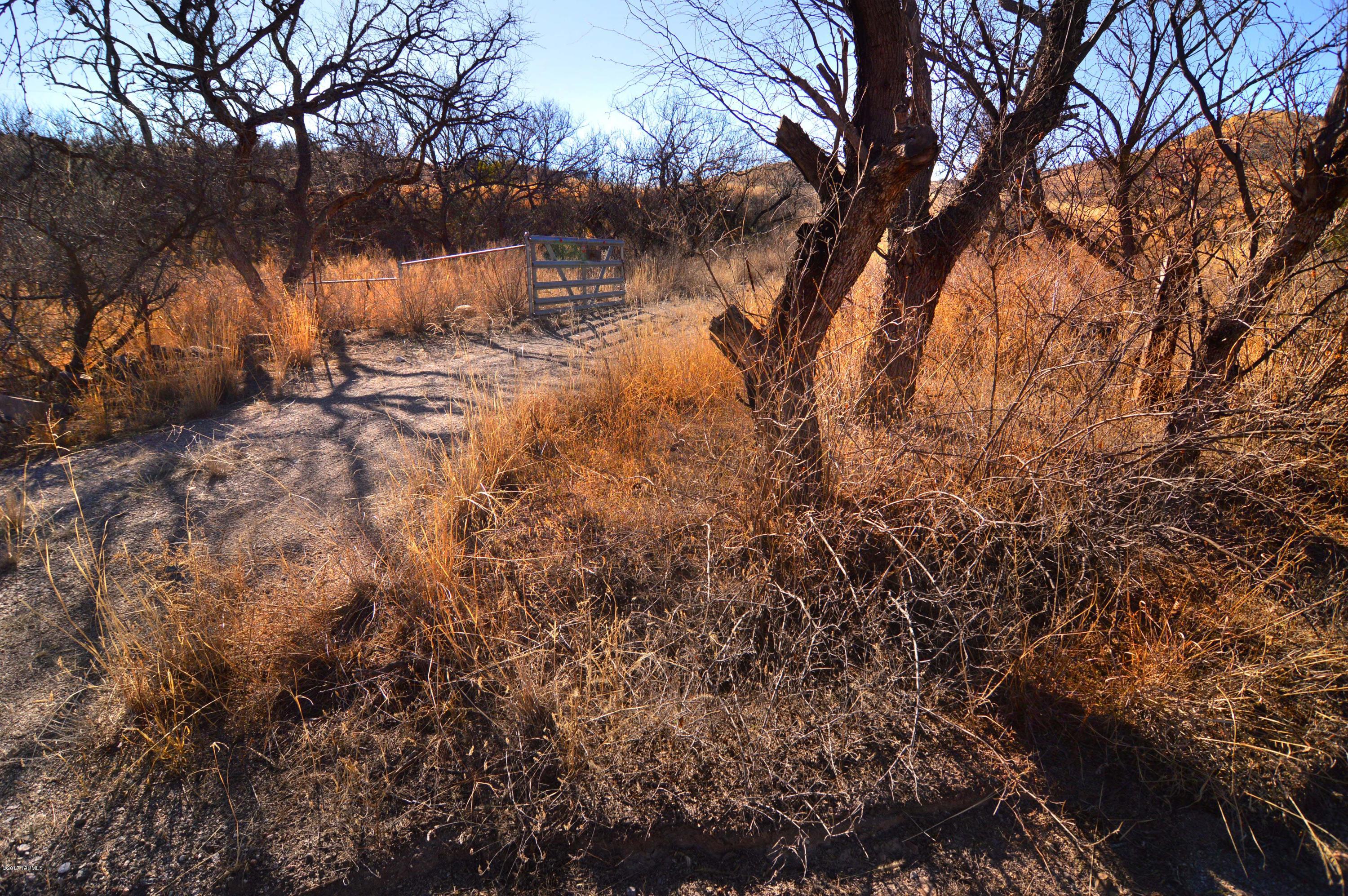 Out Of Pima County - Land
