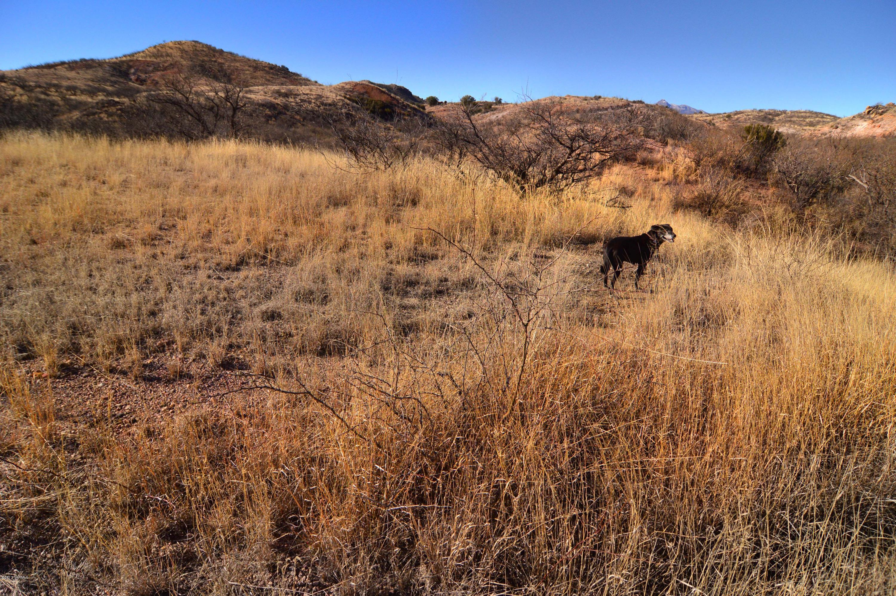 Out Of Pima County - Land