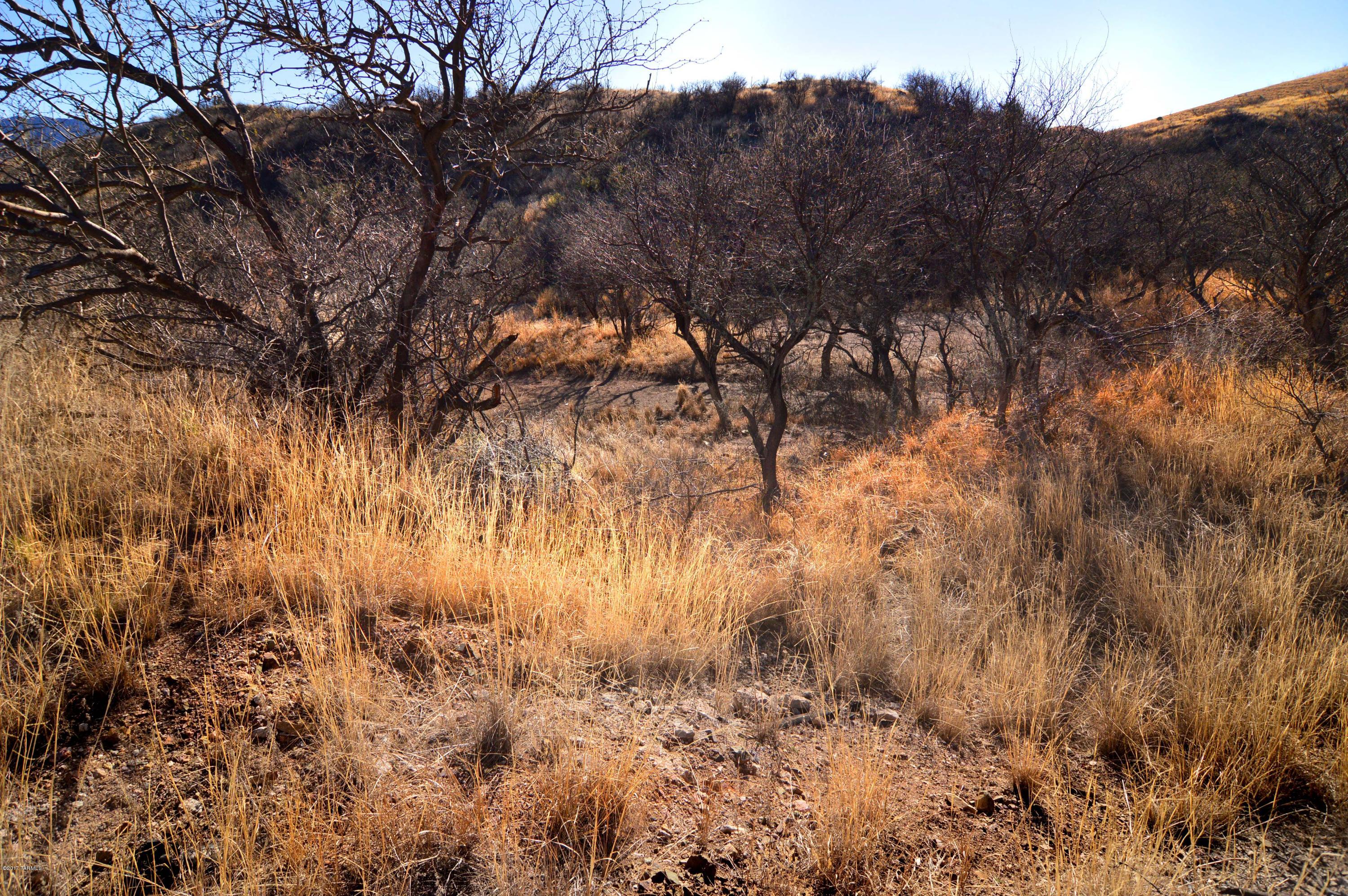 Out Of Pima County - Land