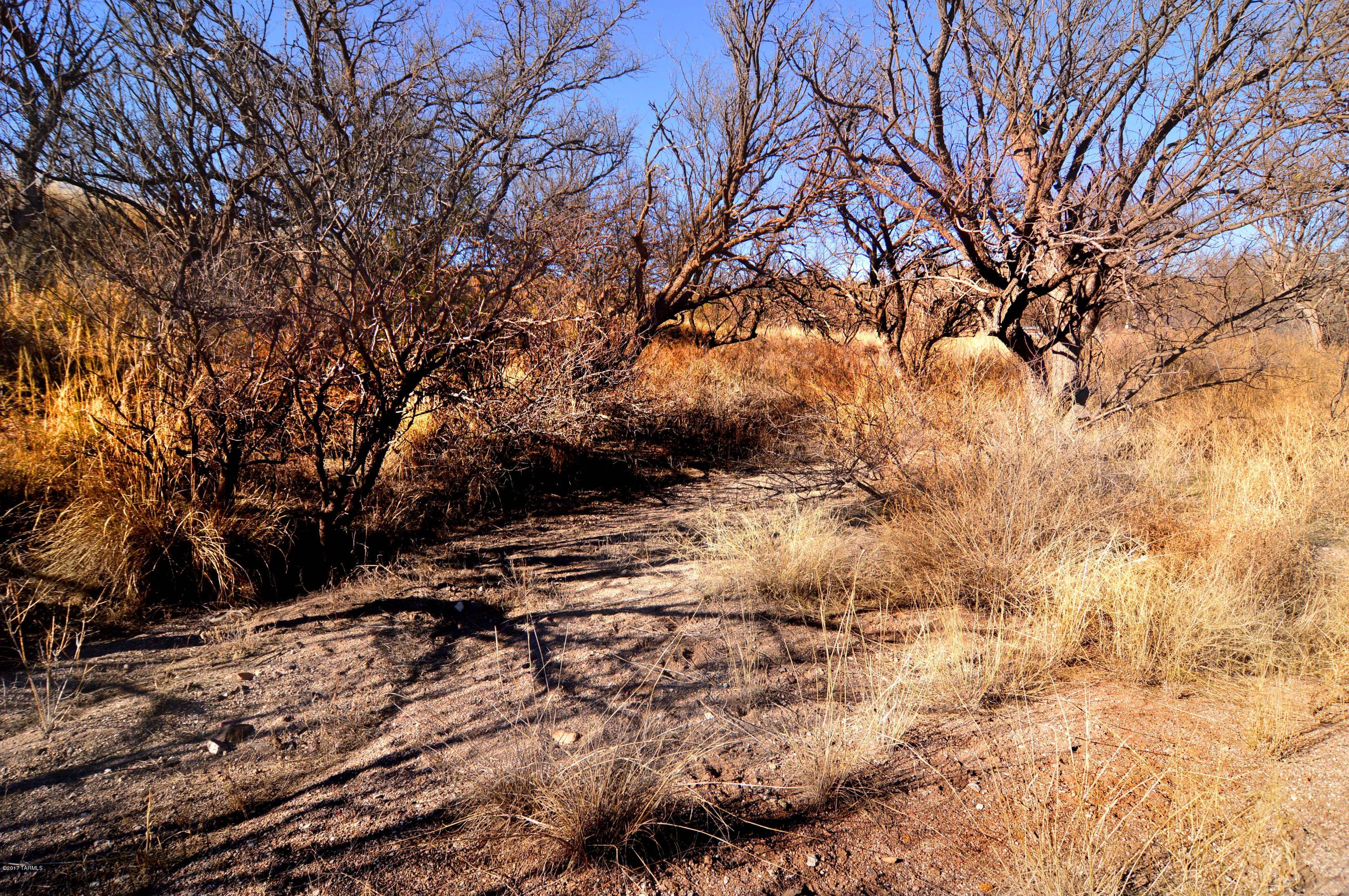 Out Of Pima County - Land