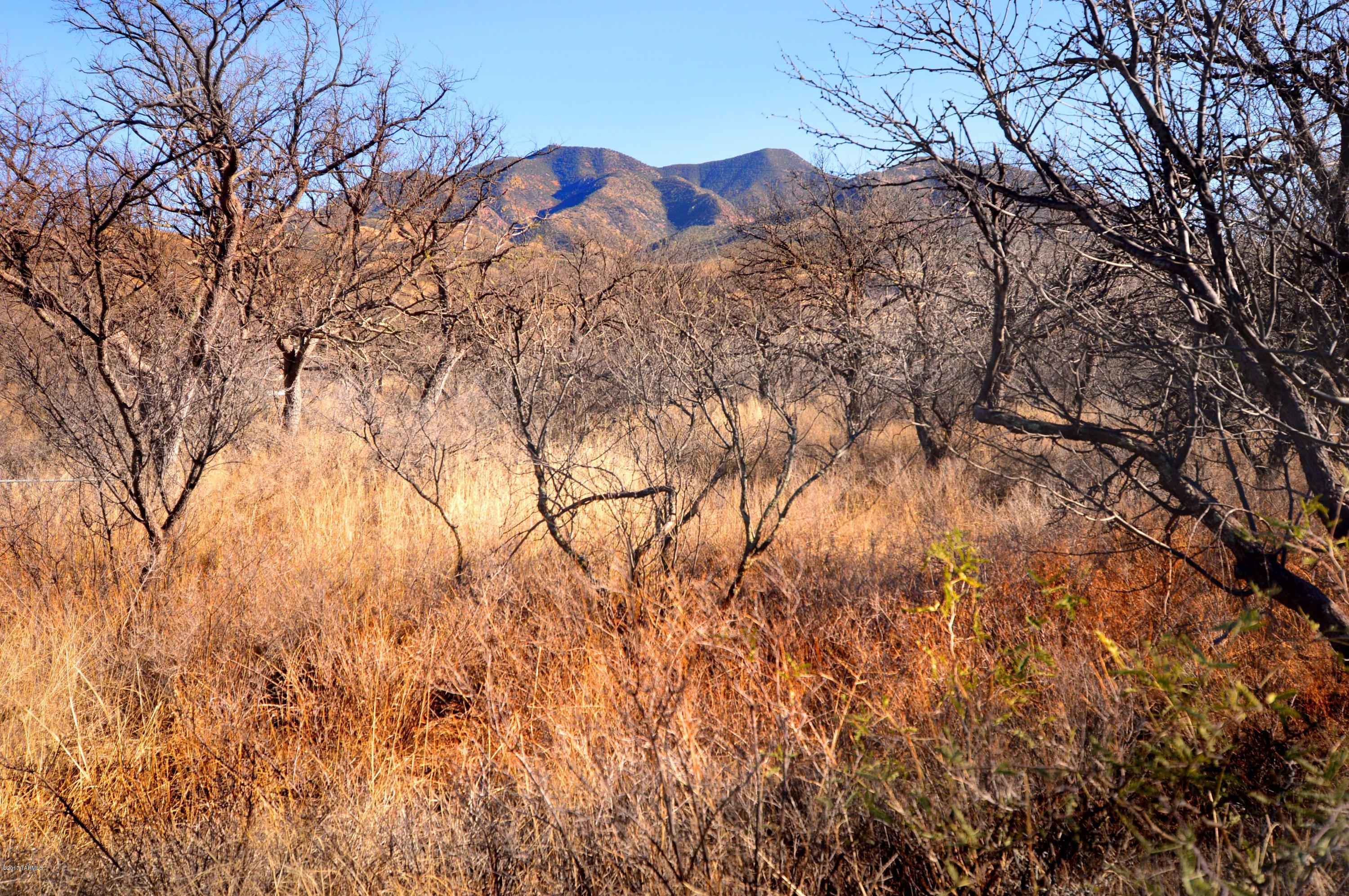 Out Of Pima County - Land