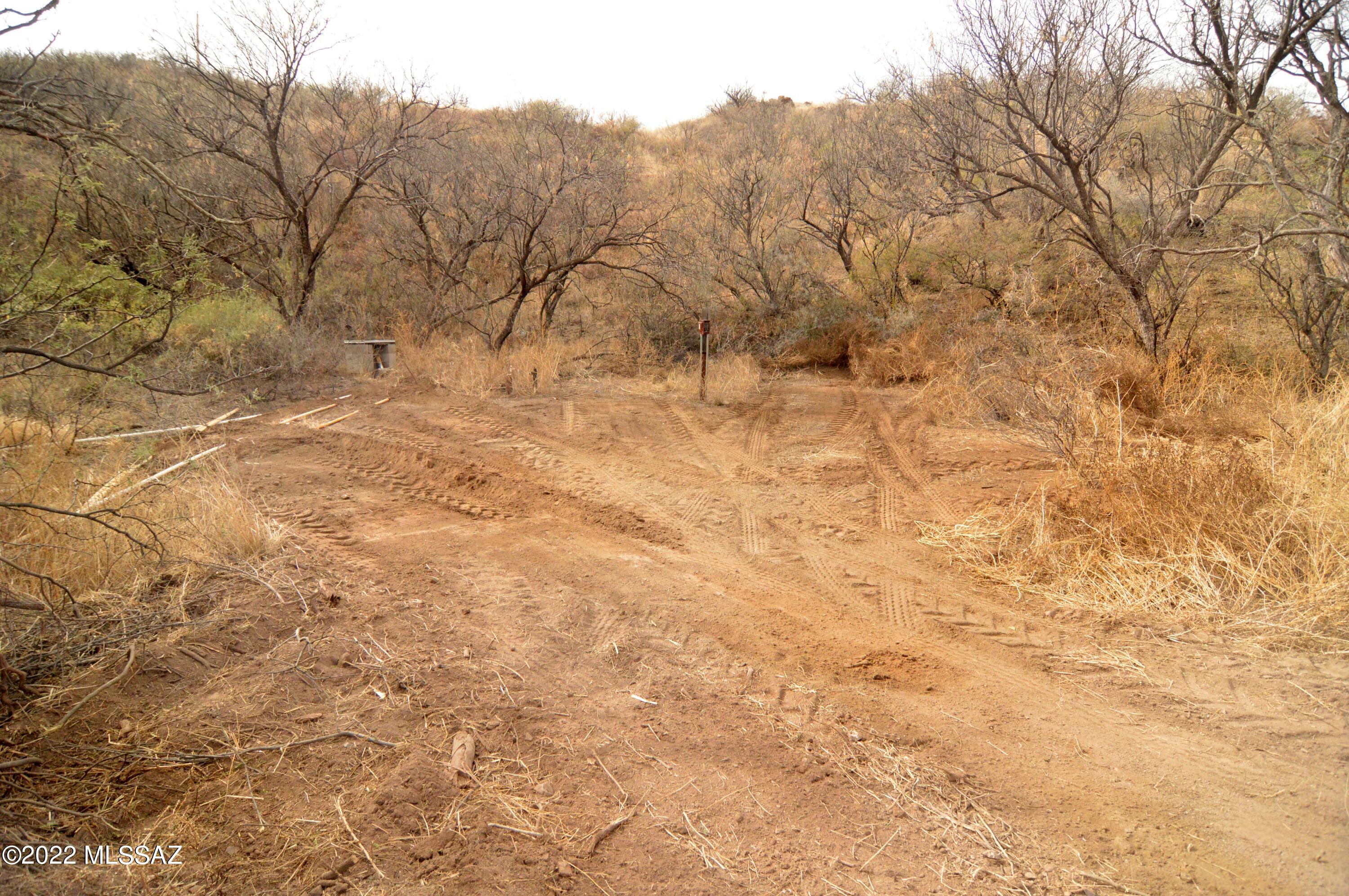Out Of Pima County - Land