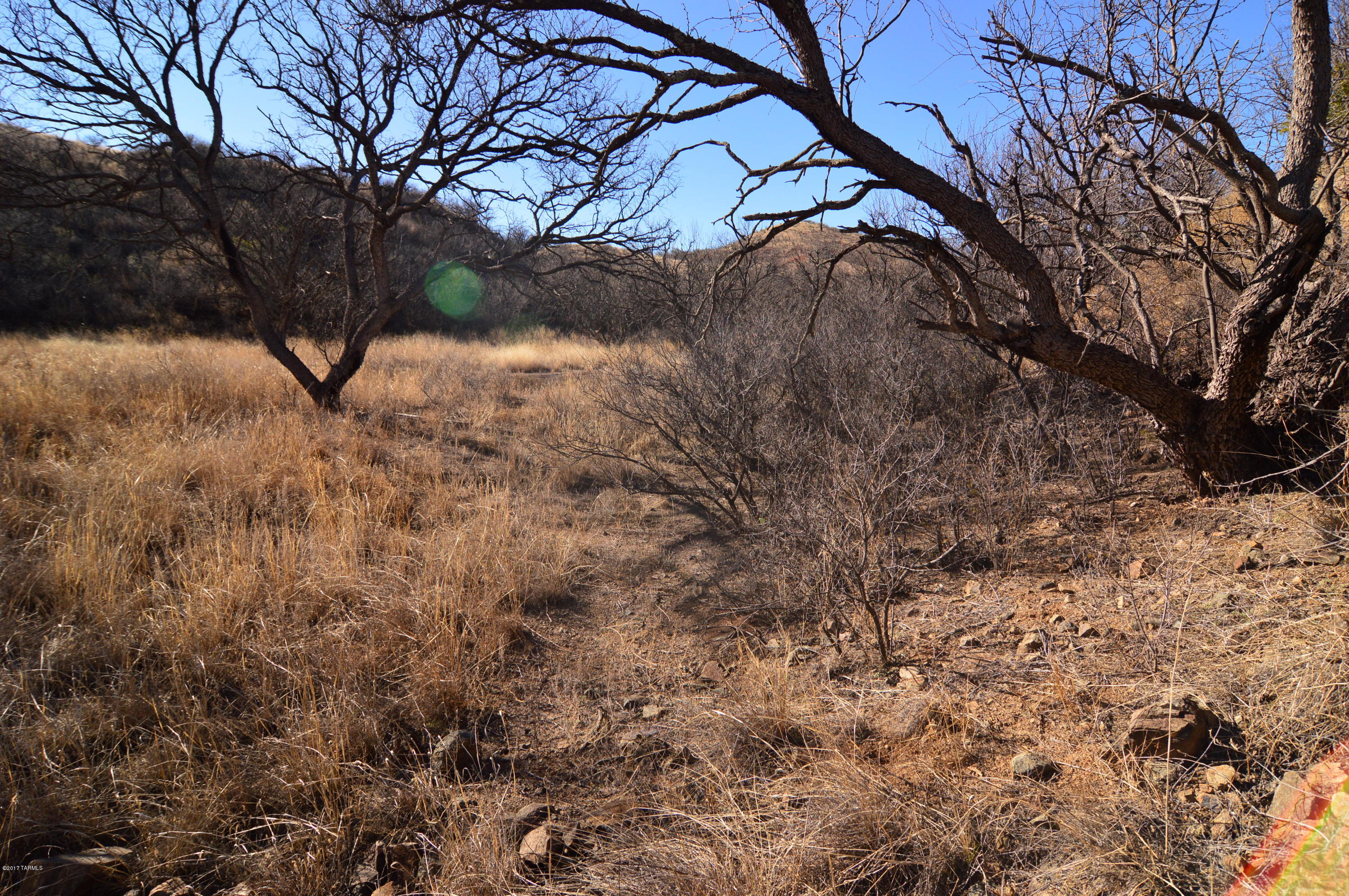 Out Of Pima County - Land