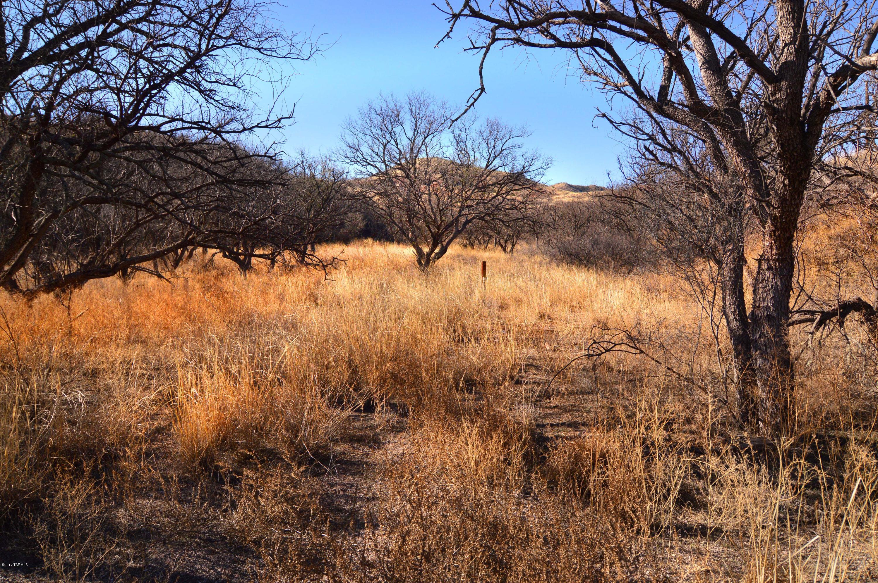 Out Of Pima County - Land