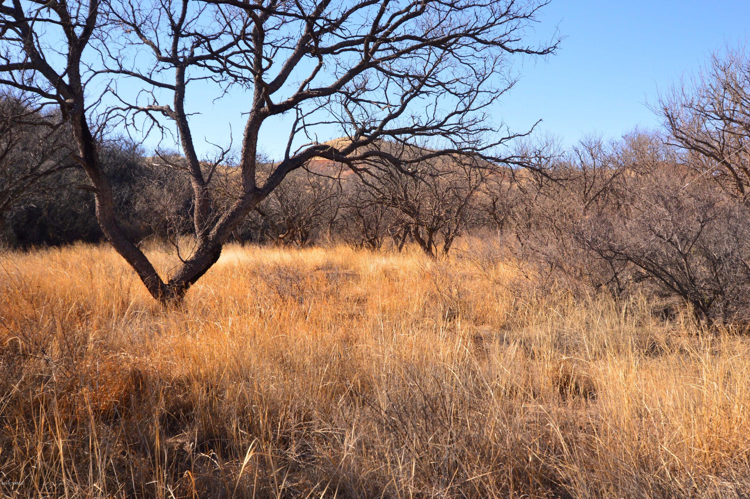 Out Of Pima County - Land