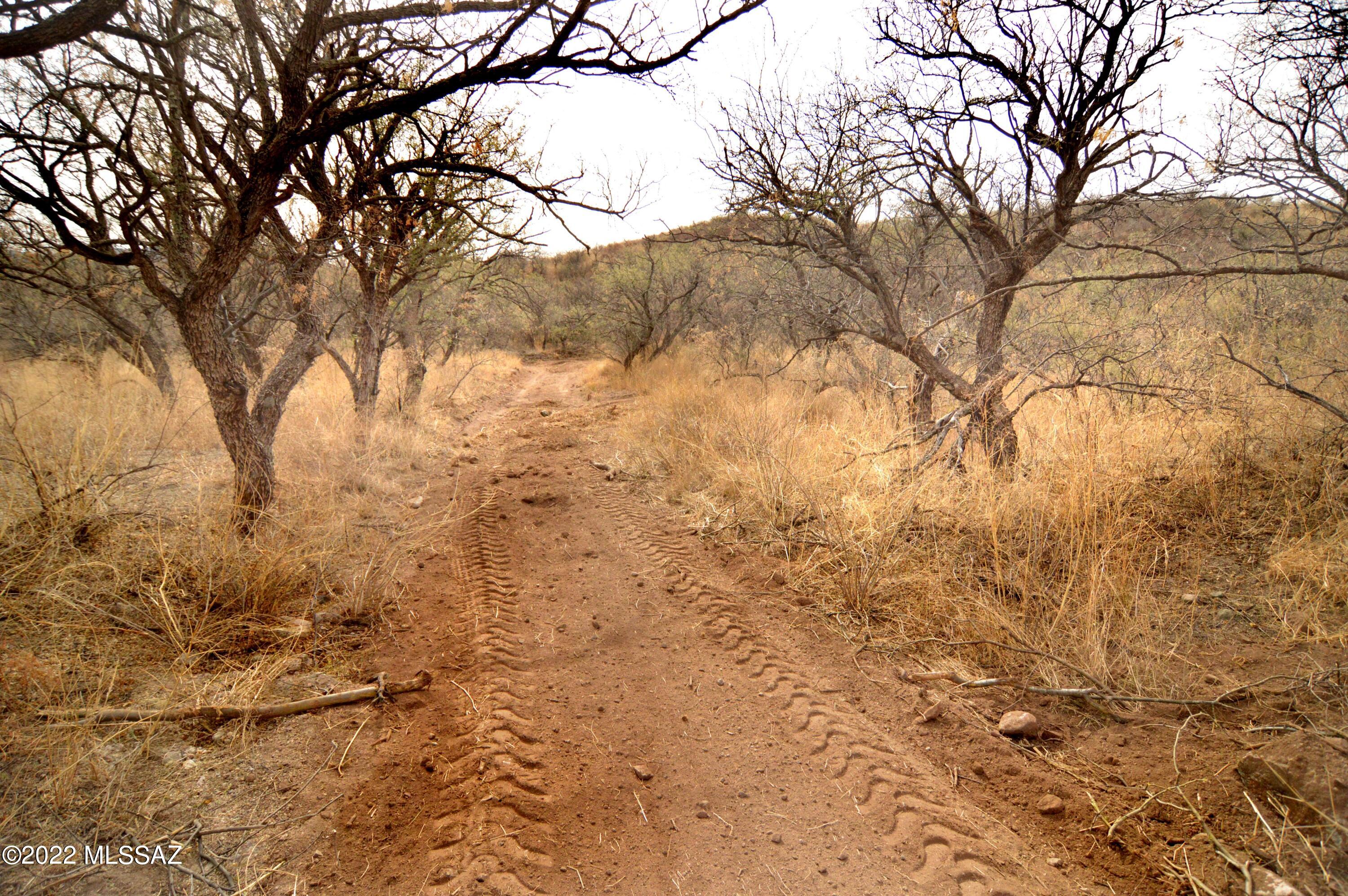 Out Of Pima County - Land