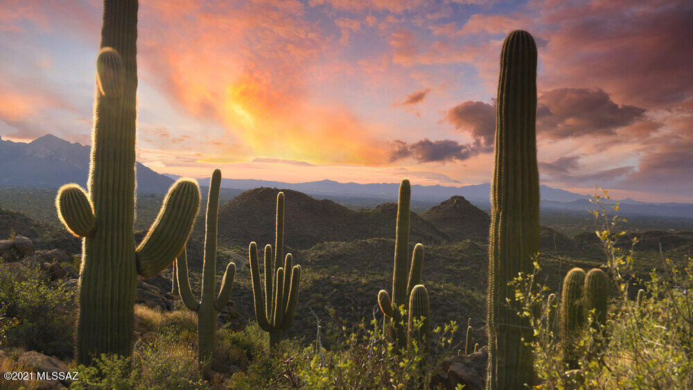 Saguaro Ranch (9-52) Blks. 1-4 - Land