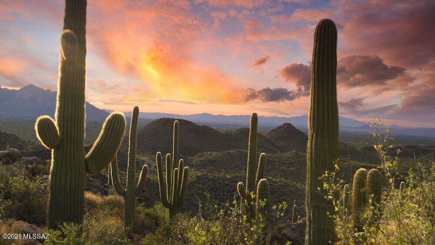 Spectacular vistas in an exclusive and lush Sonoran Desert setting.