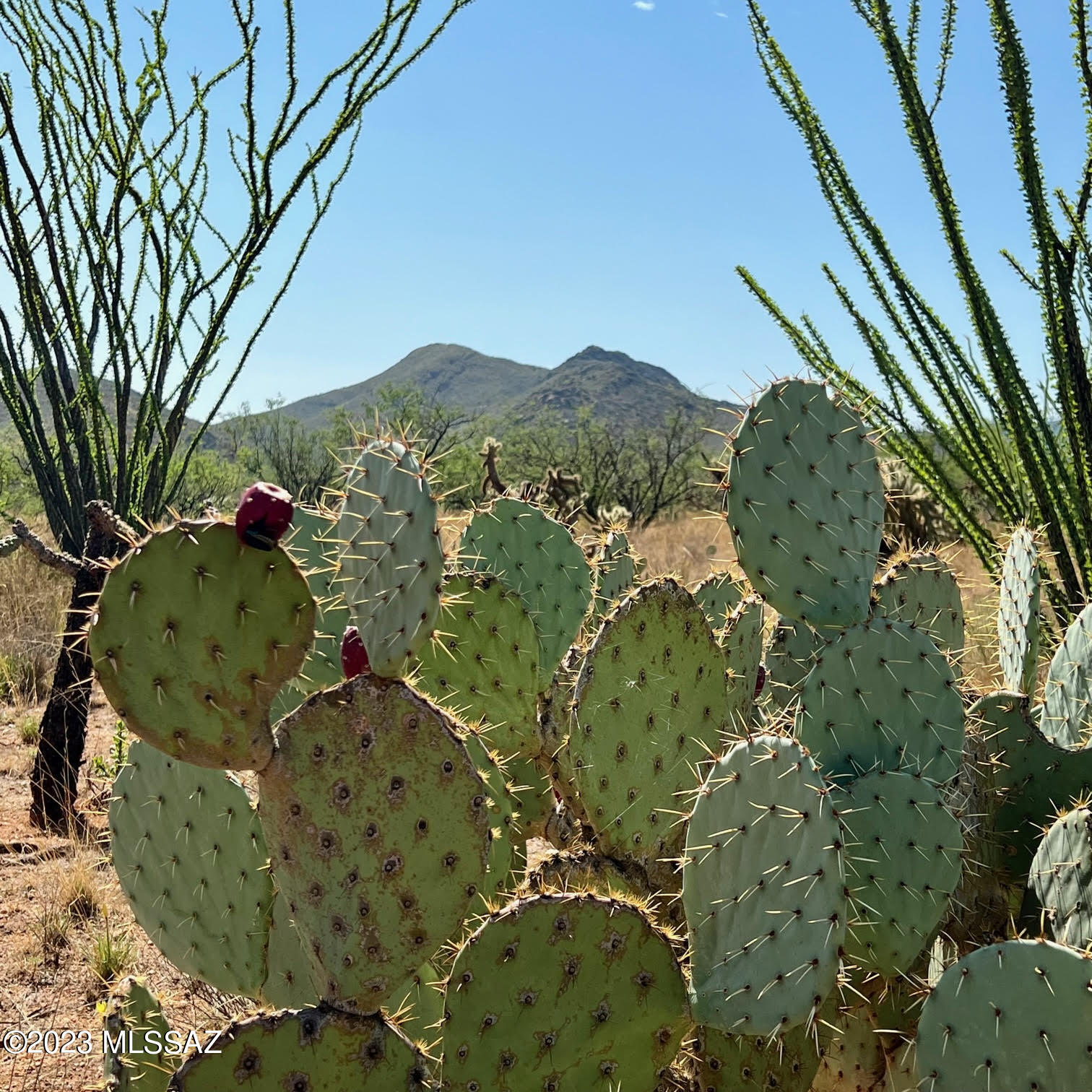Diamond Bell Ranch - Tucson Unit 6 (1-435) - Land