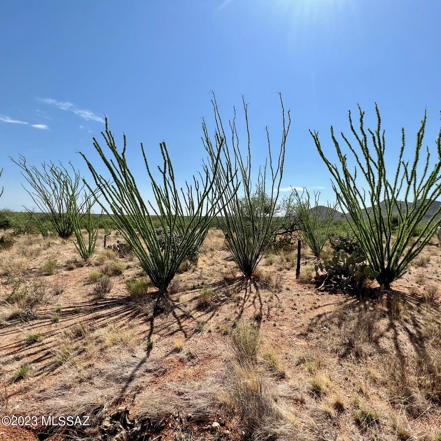 Diamond Bell Ranch - Tucson Unit 6 (1-435) - Land