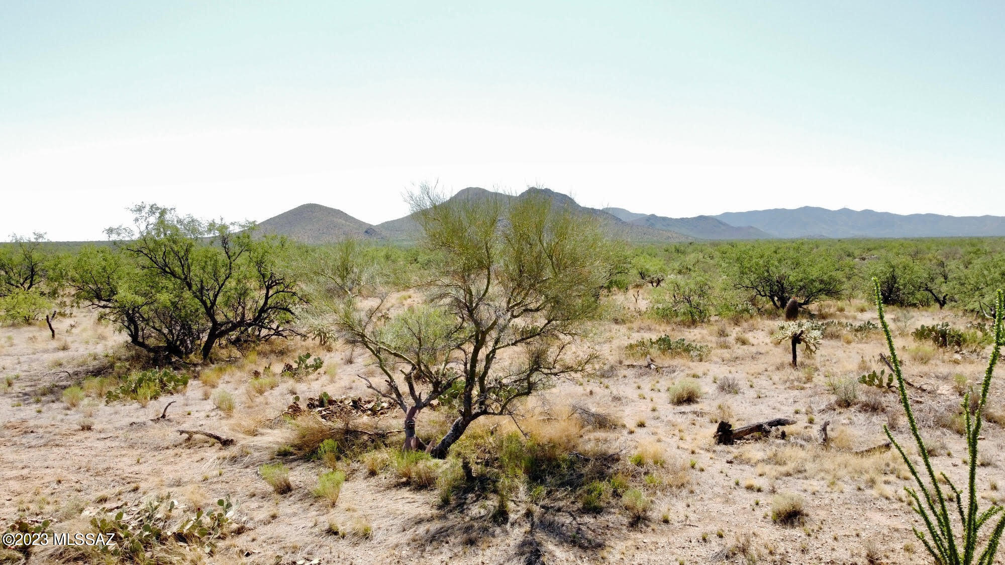Diamond Bell Ranch - Tucson Unit 6 (1-435) - Land