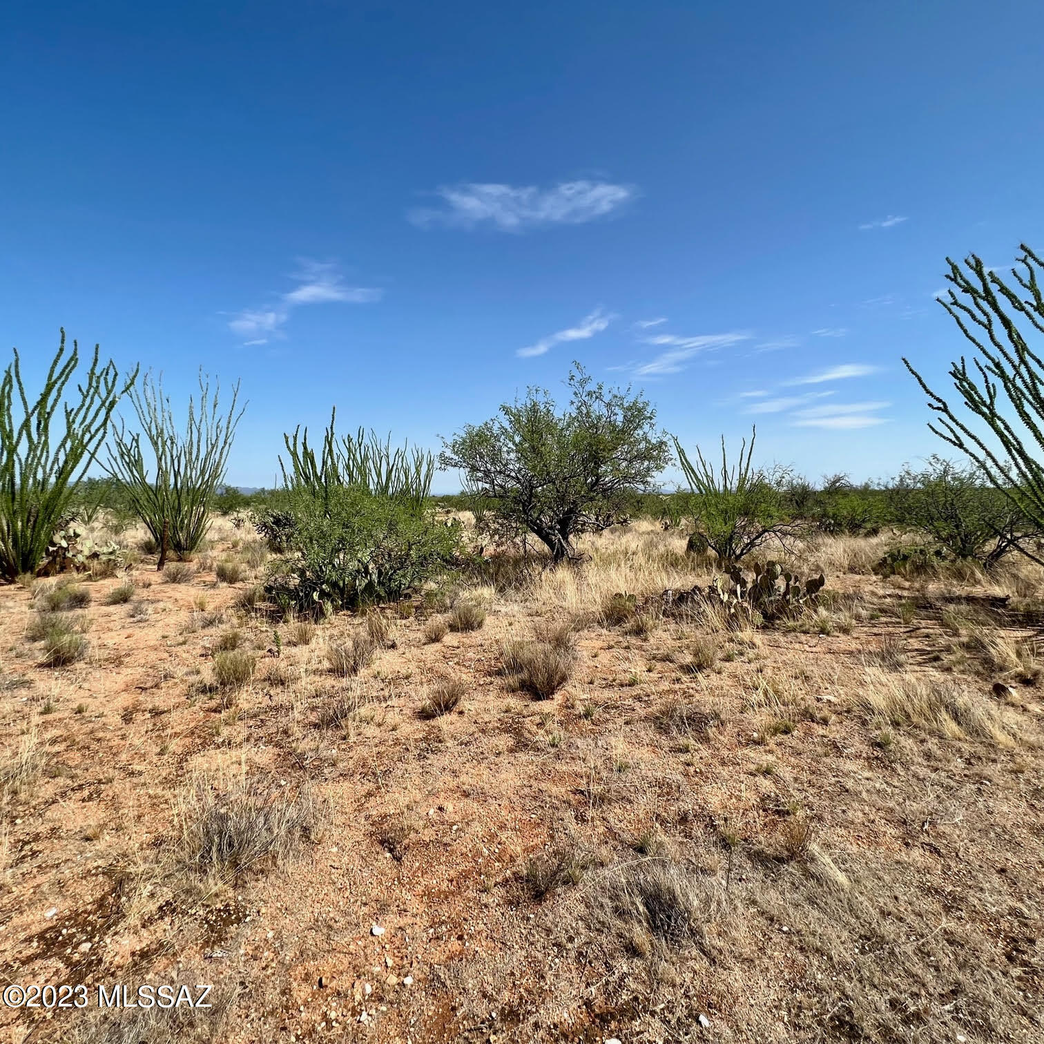 Diamond Bell Ranch - Tucson Unit 6 (1-435) - Land