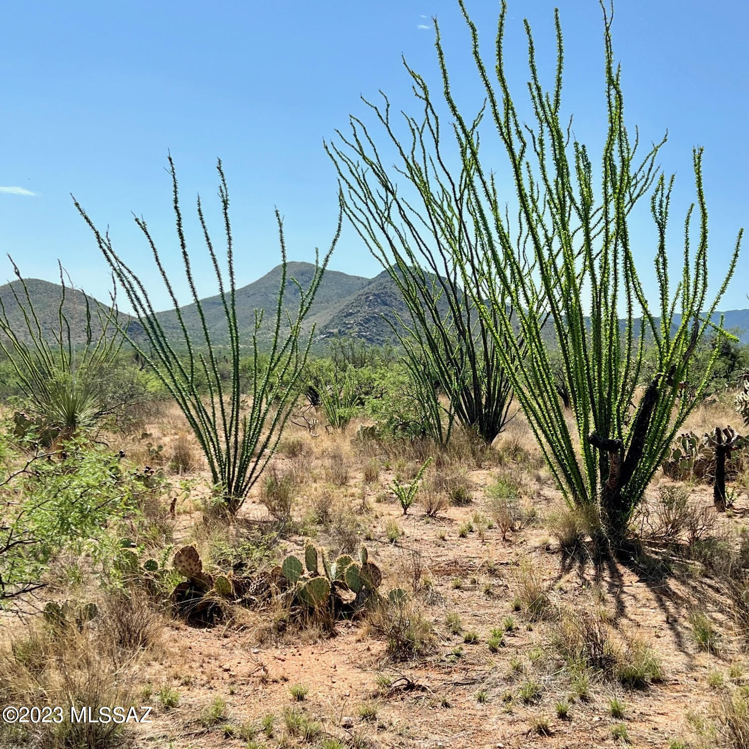 Diamond Bell Ranch - Tucson Unit 6 (1-435) - Land