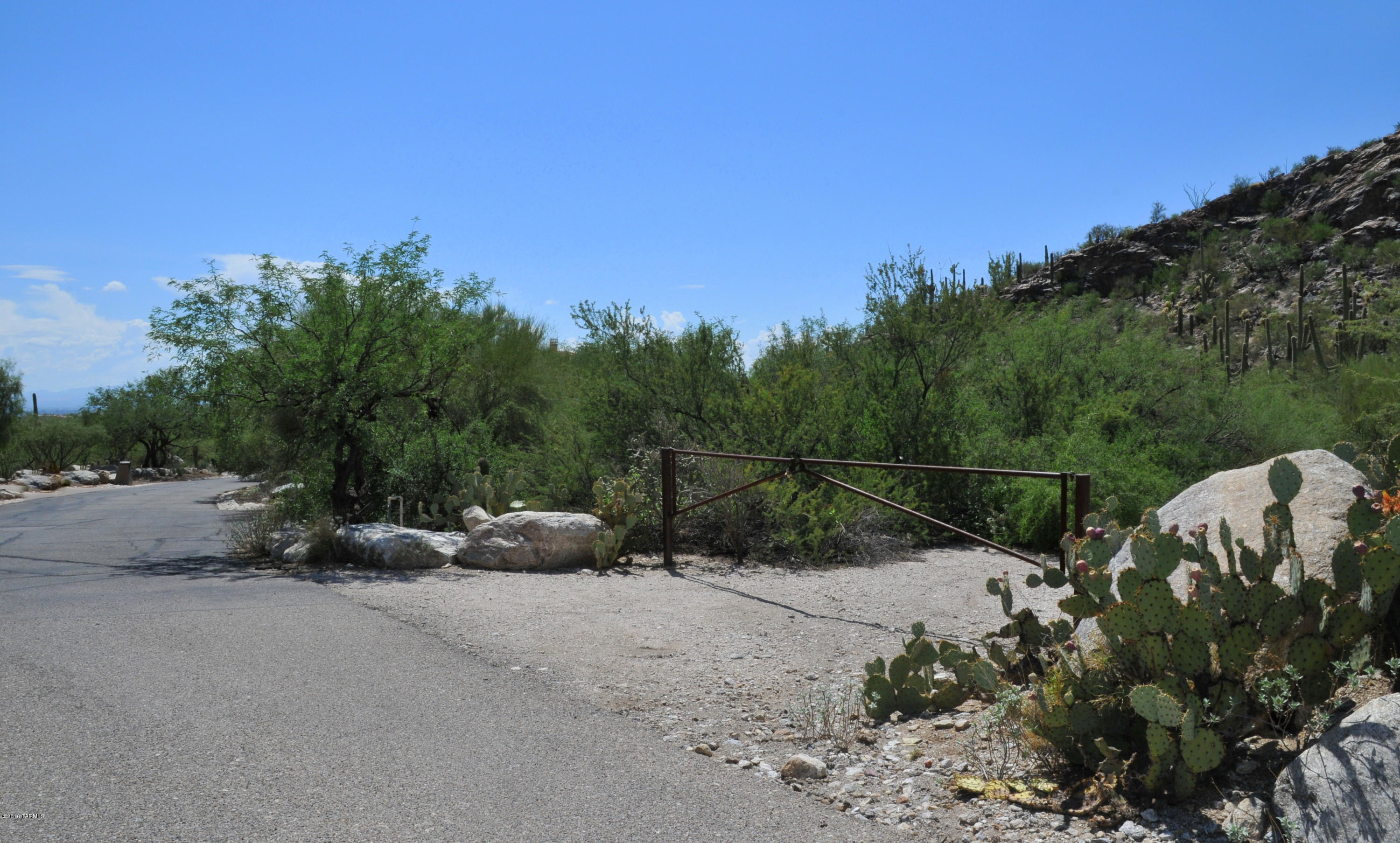 Esperero Canyon Estates (1-19) - Land