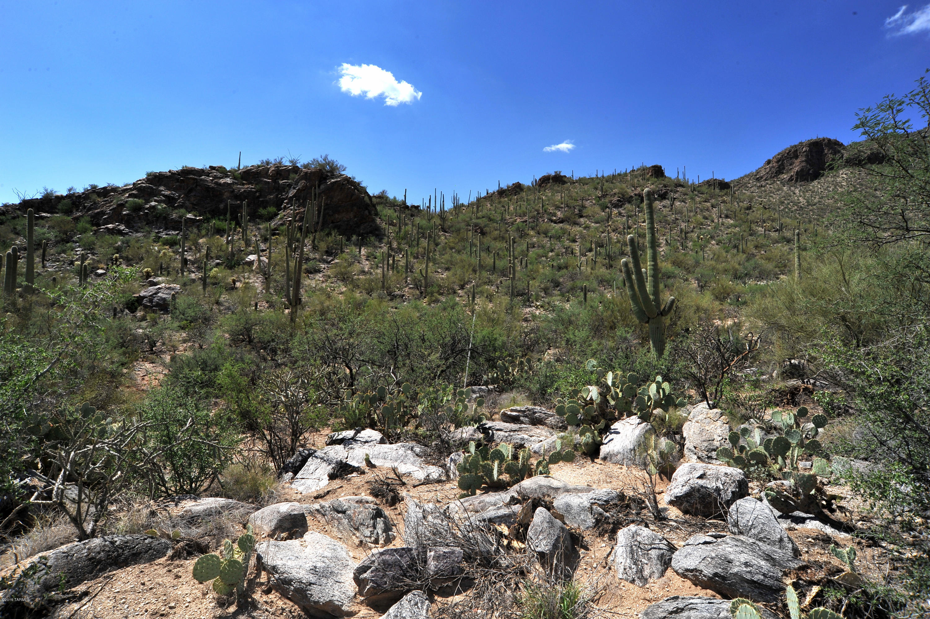 Esperero Canyon Estates (1-19) - Land