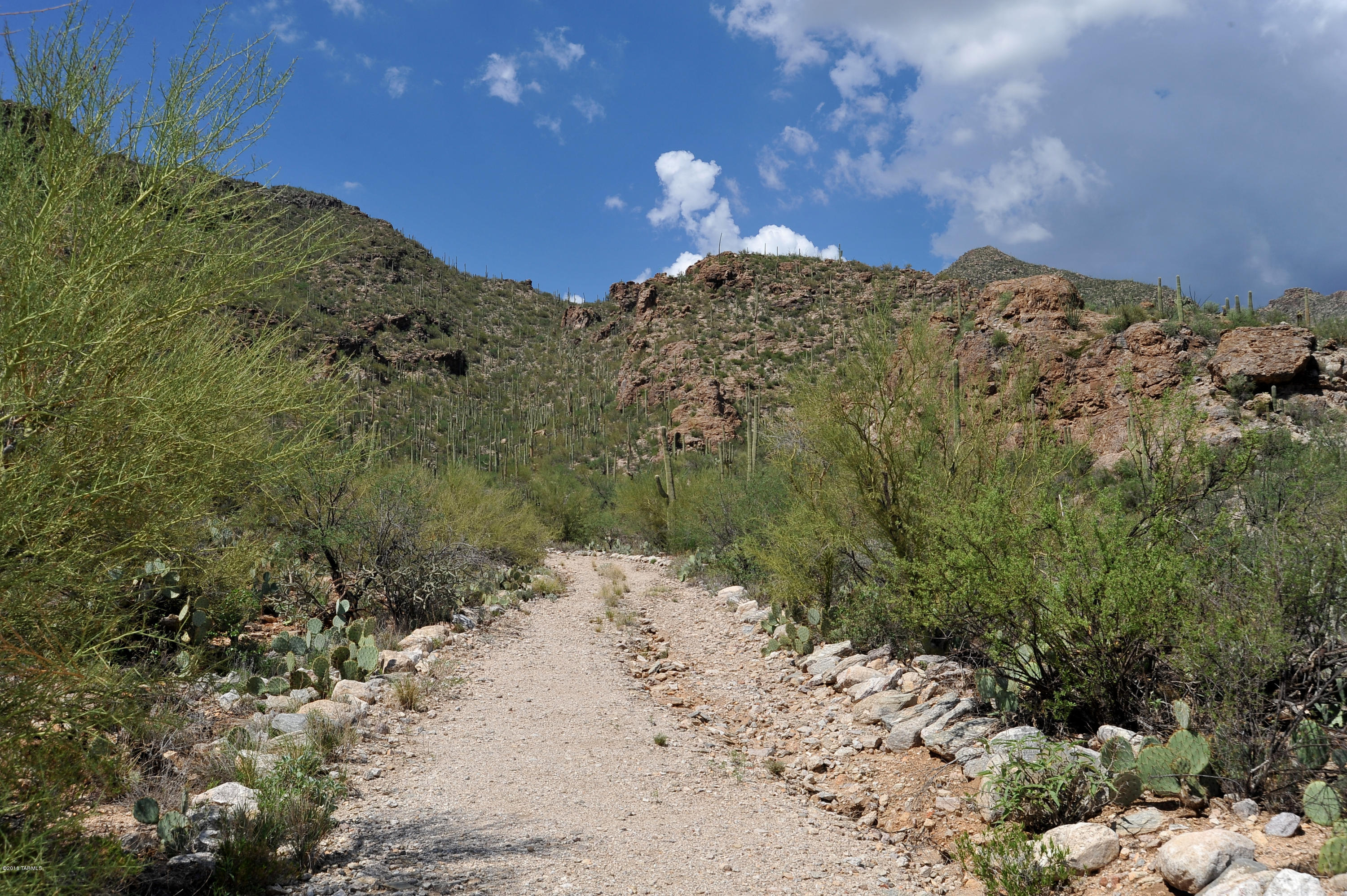 Esperero Canyon Estates (1-19) - Land