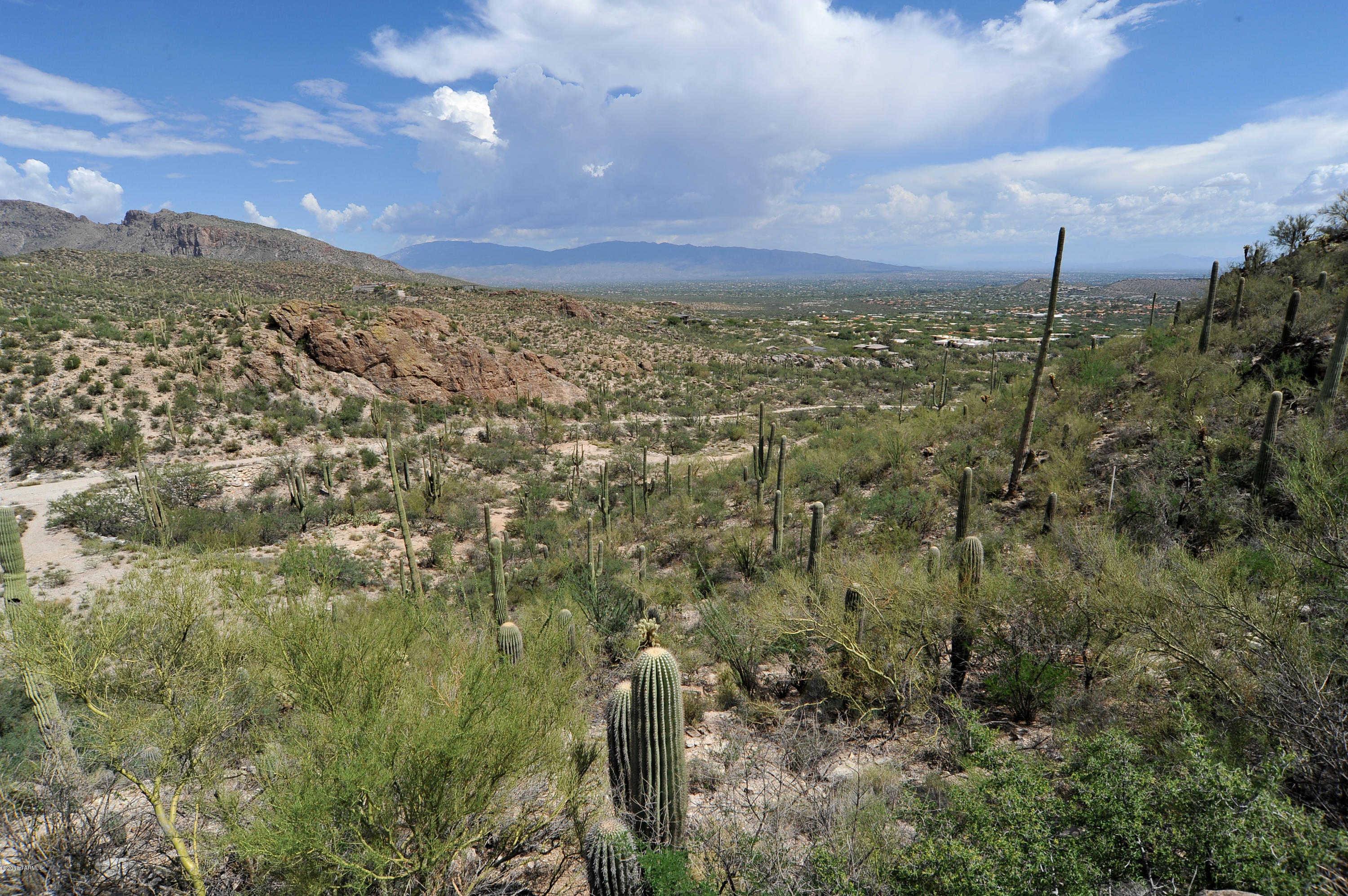 Esperero Canyon Estates (1-19) - Land