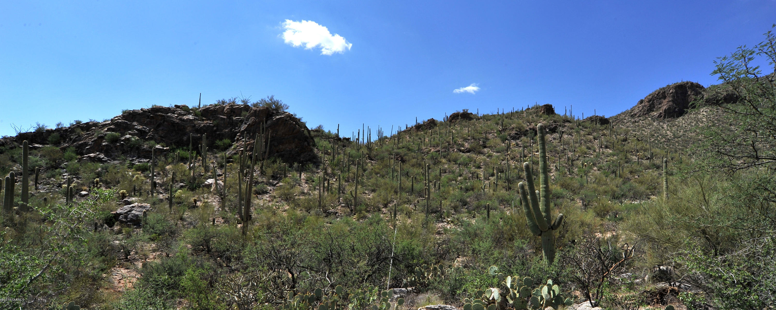 Esperero Canyon Estates (1-19) - Land