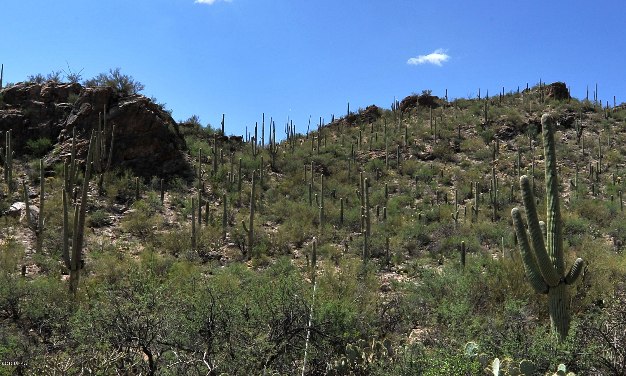 Esperero Canyon Estates (1-19) - Land