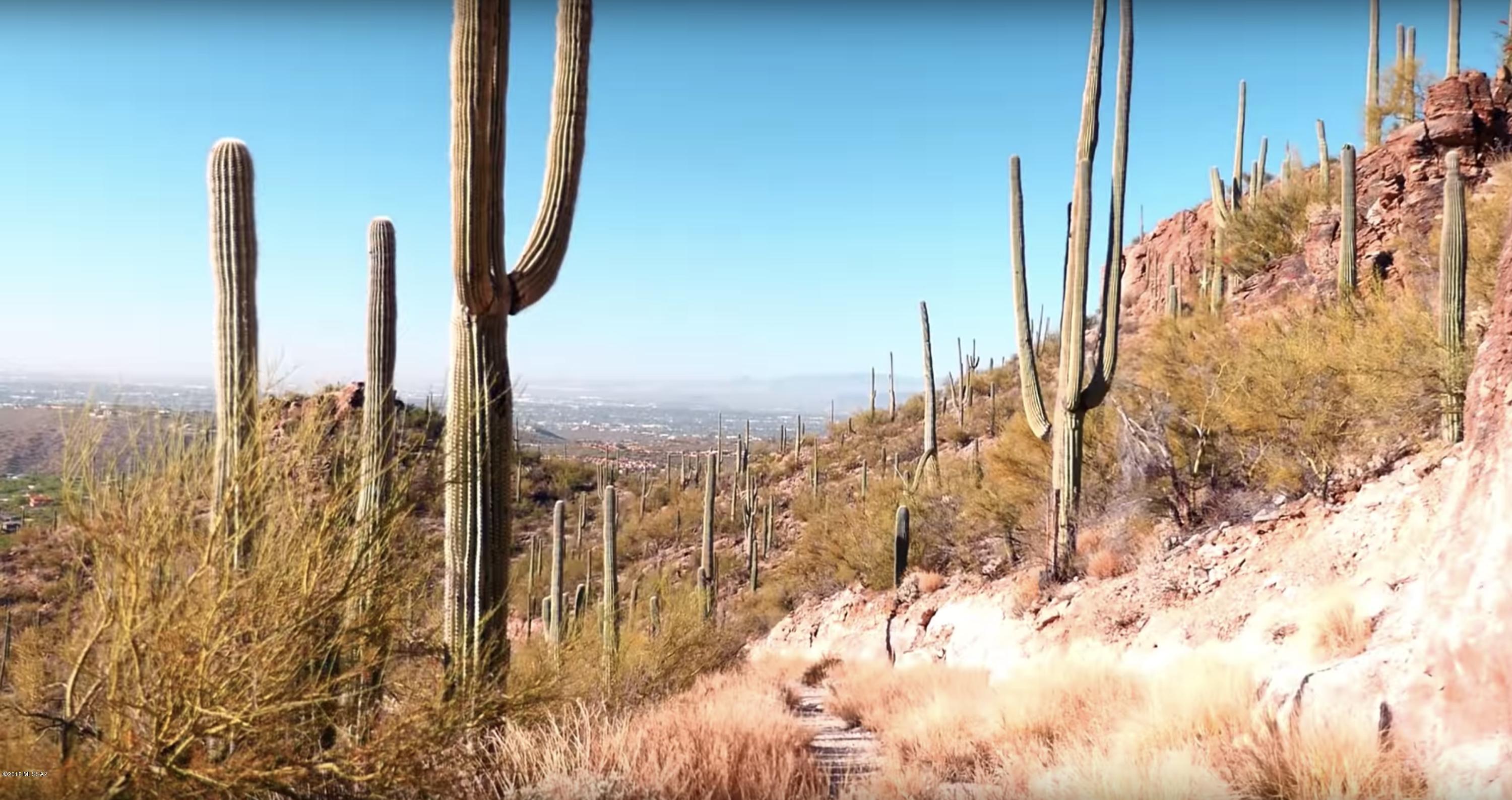 Esperero Canyon Estates (1-19) - Land