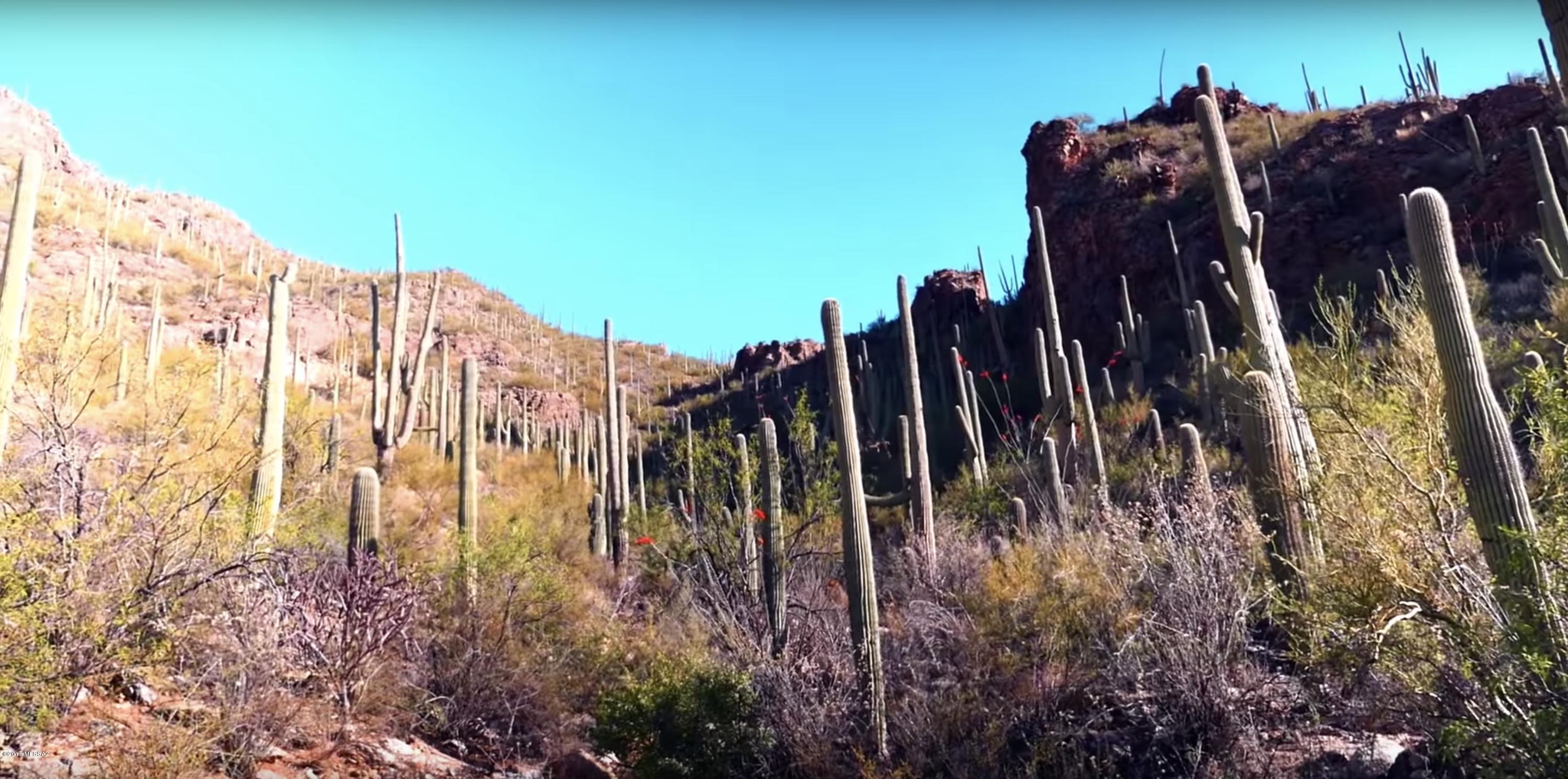 Esperero Canyon Estates (1-19) - Land