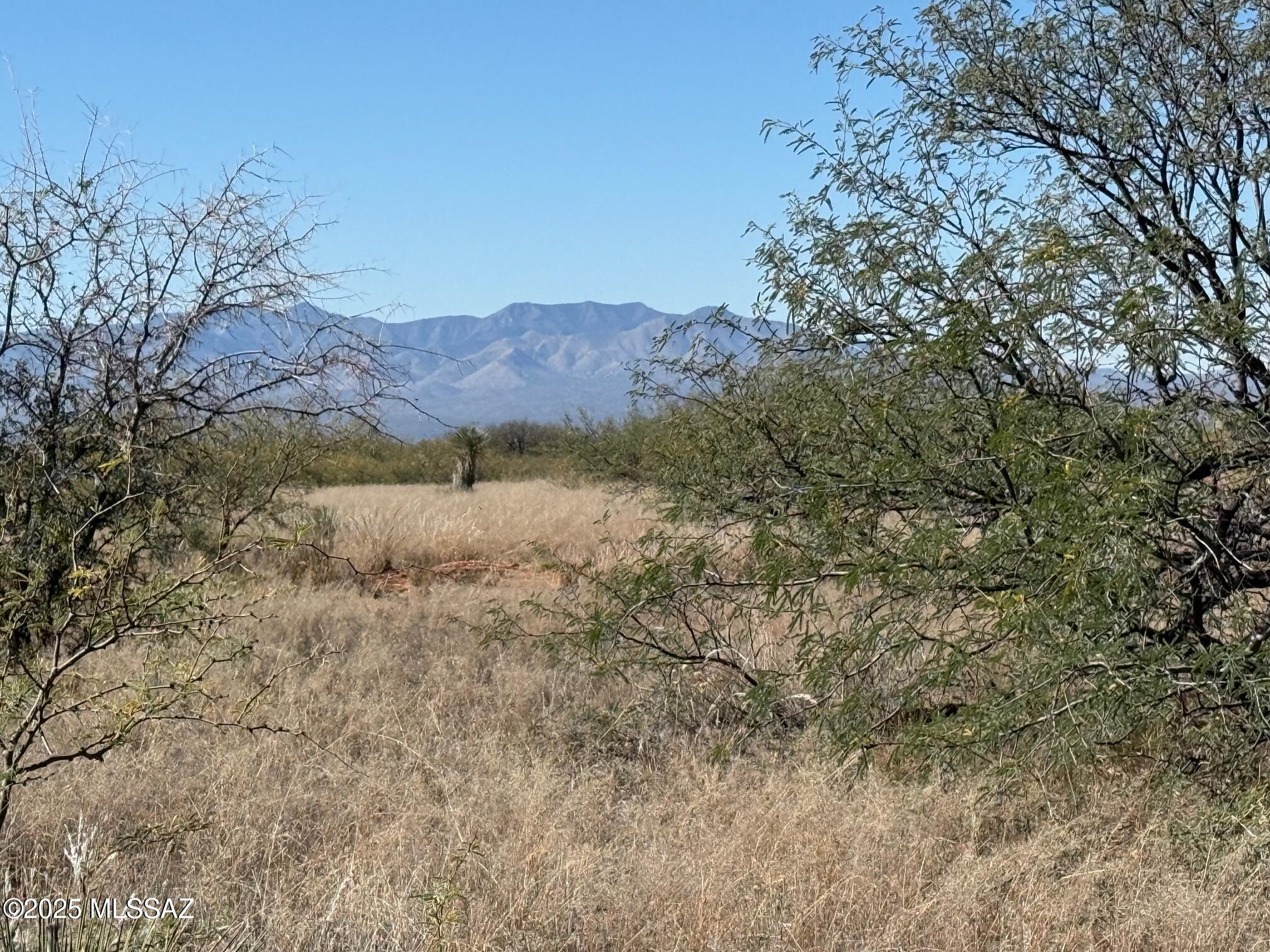 Dragoon Mountain Ranch - Land
