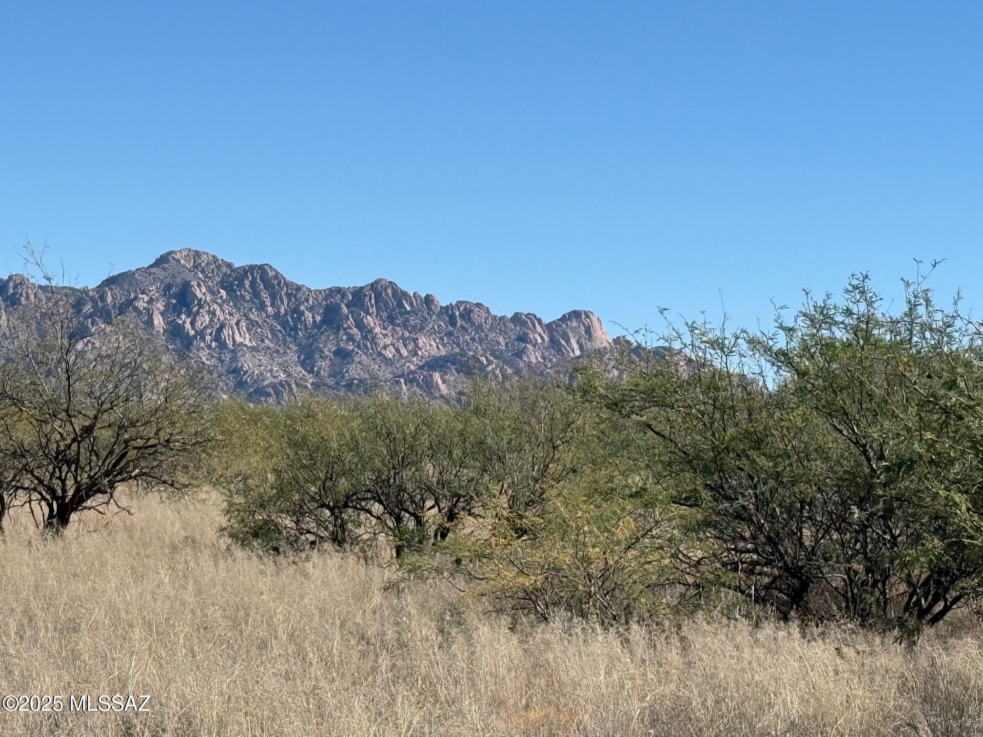 Dragoon Mountain Ranch - Land