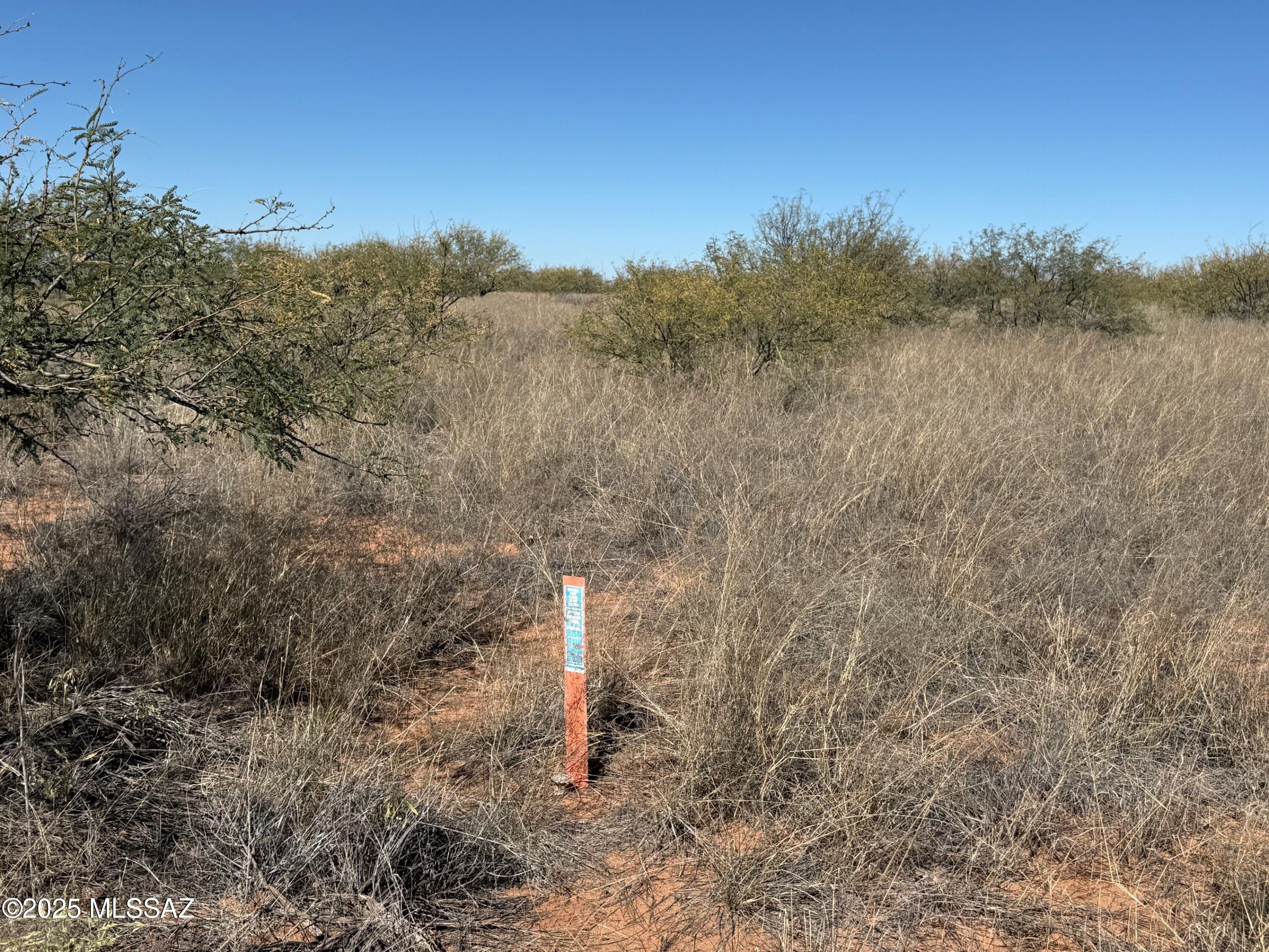 Dragoon Mountain Ranch - Land