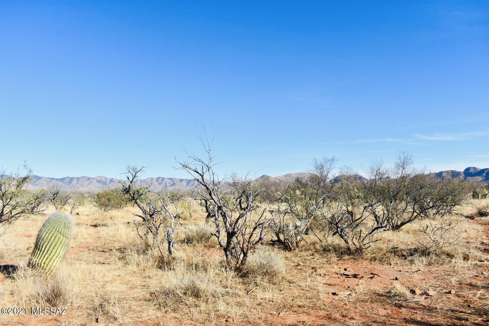 Rio Rico - Land