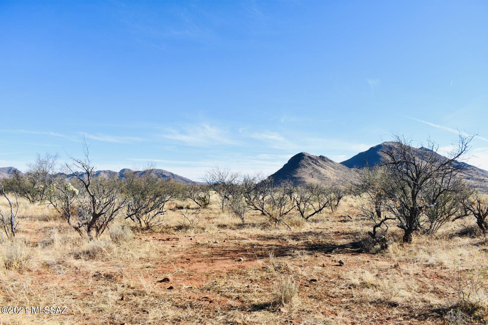 Rio Rico - Land