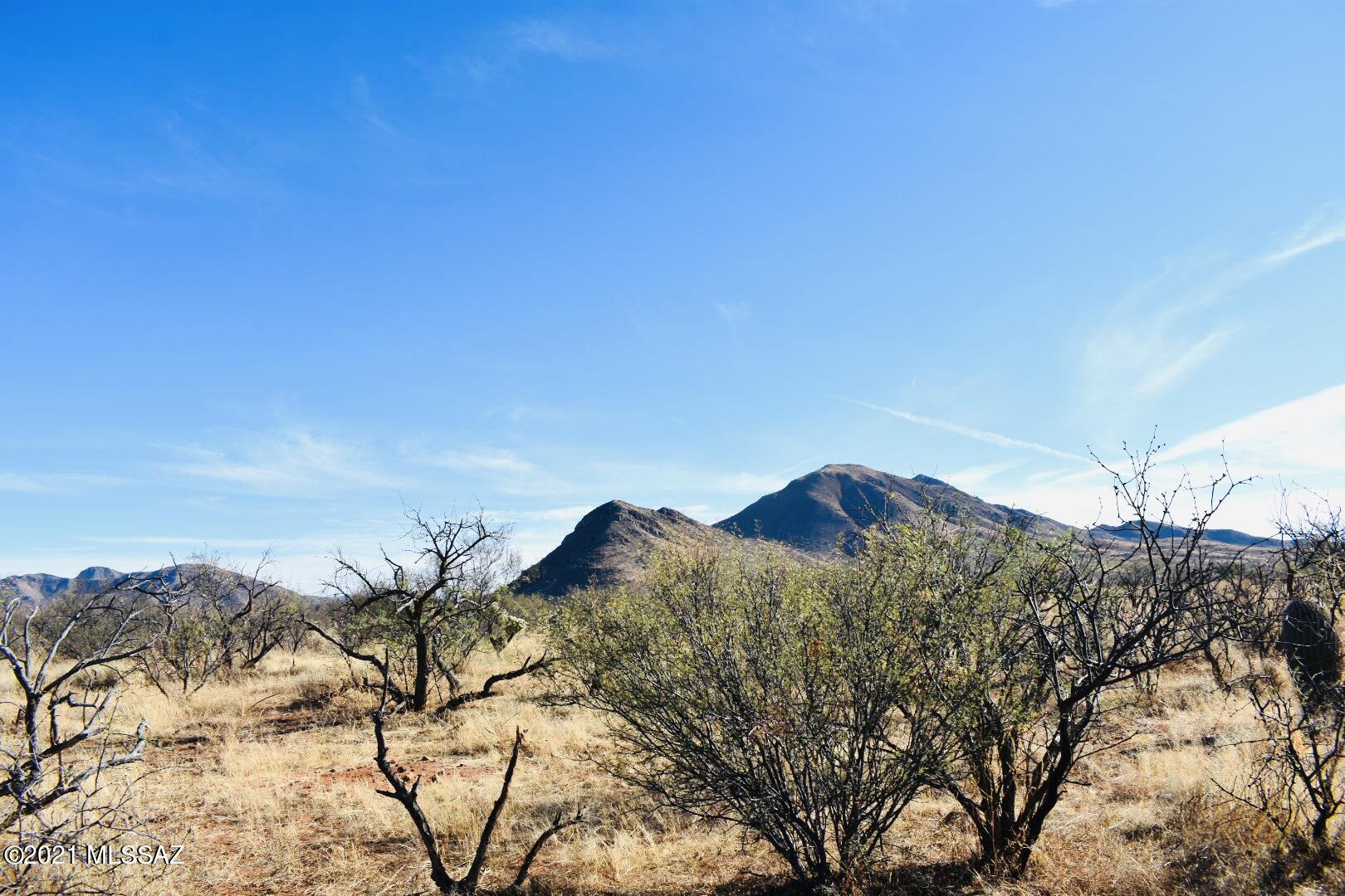 Rio Rico - Land