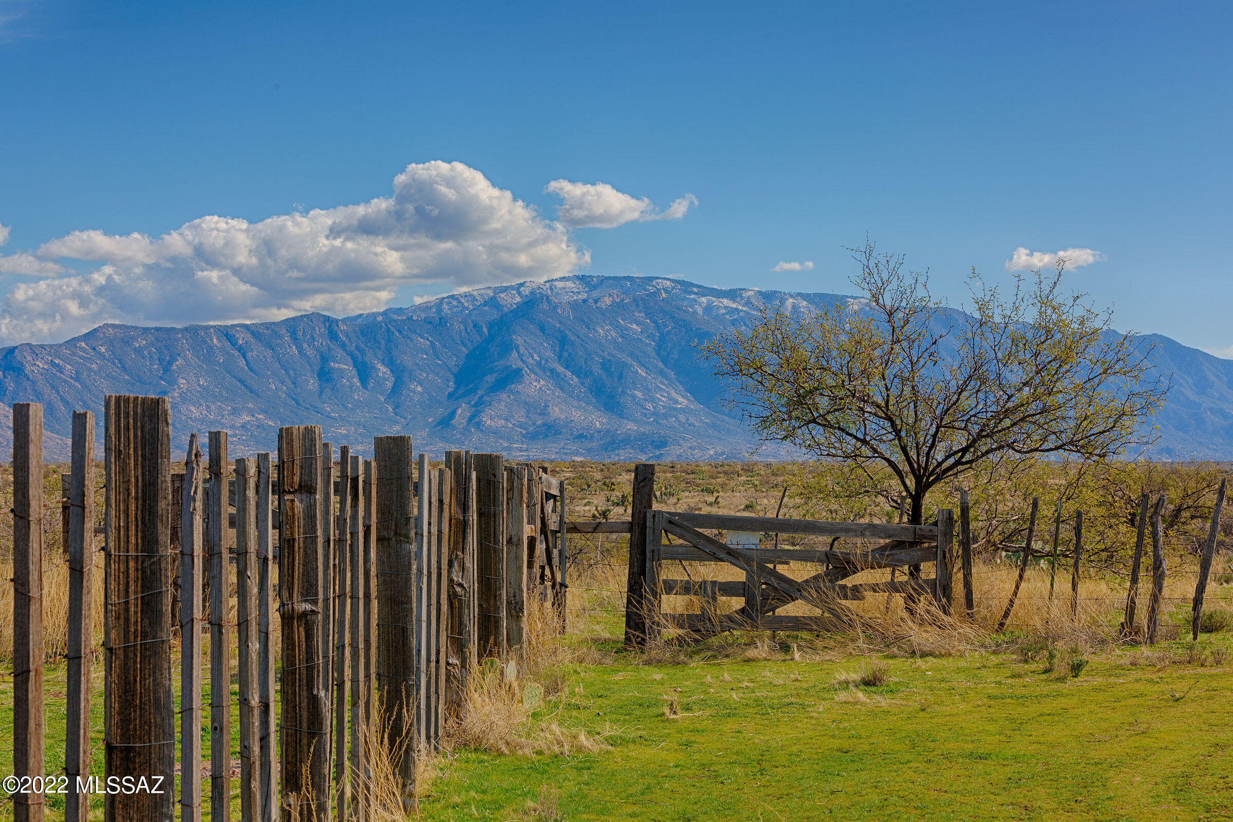 Saddlebrooke Ranch - Residential