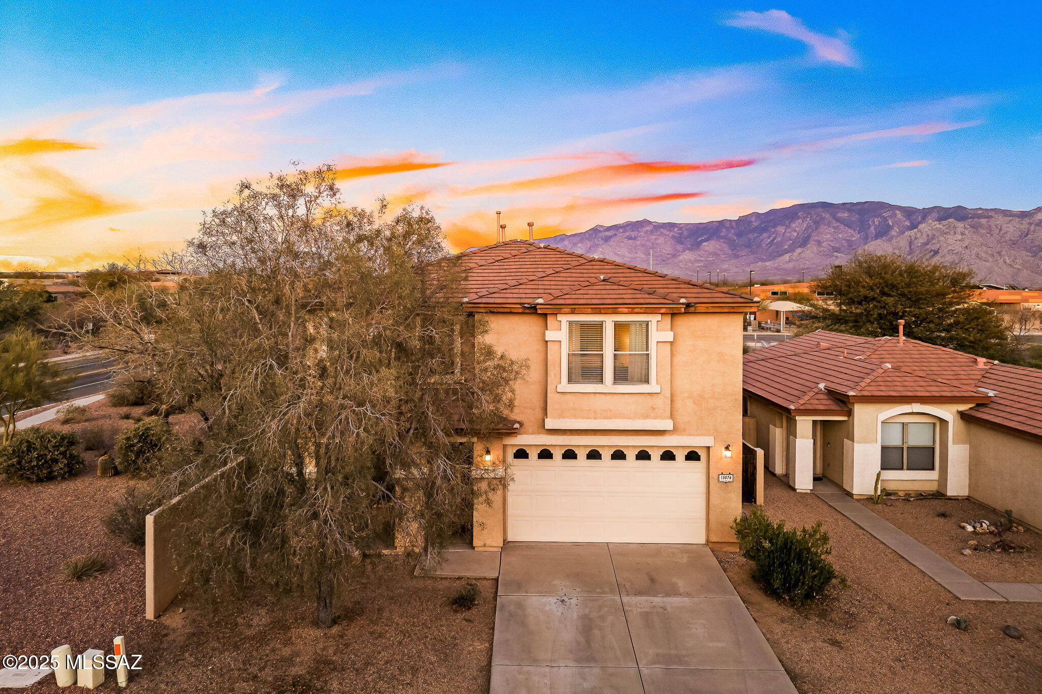 13076 N Desert Olive Drive
