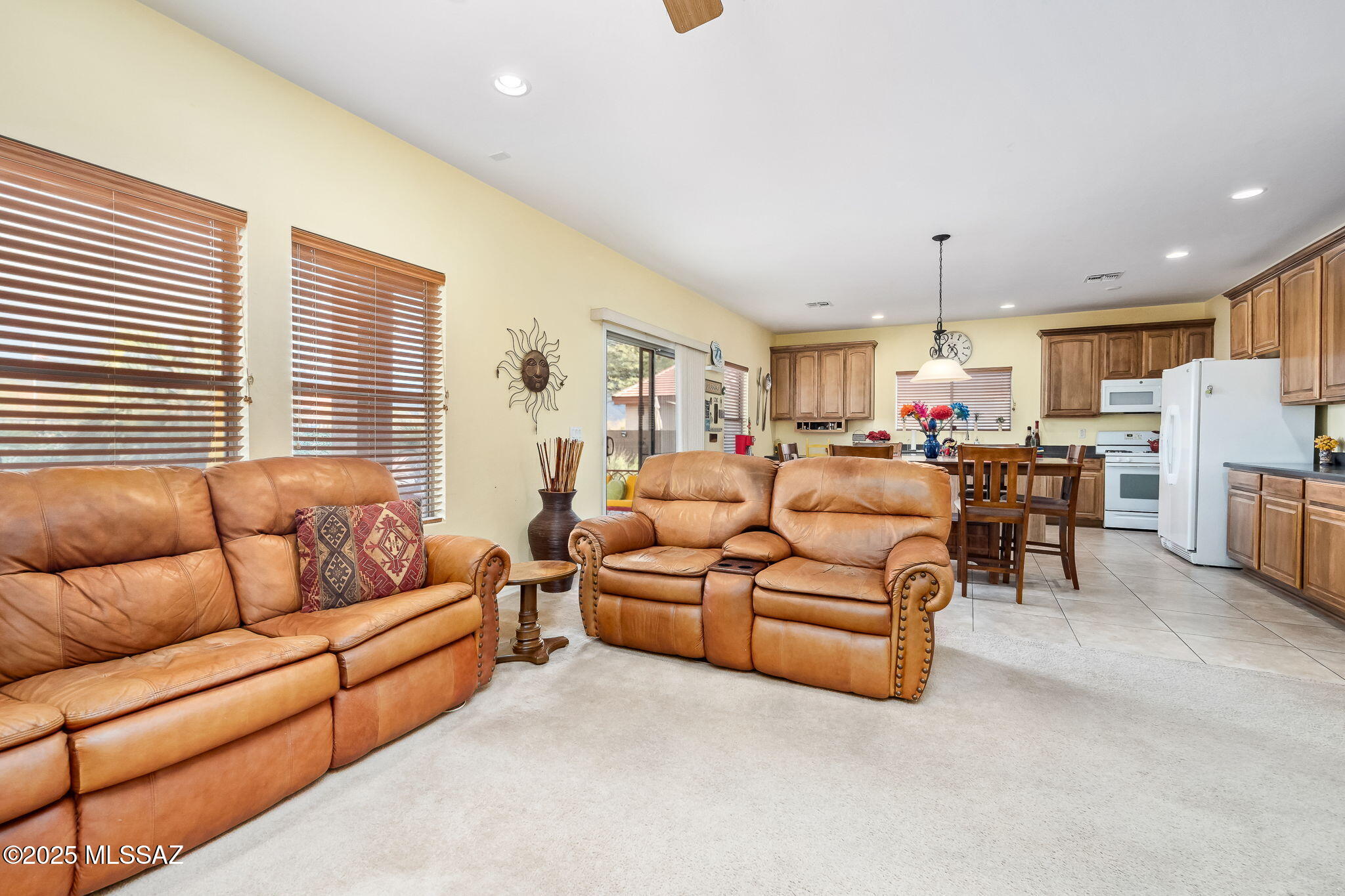 13076 N Desert Olive Drive