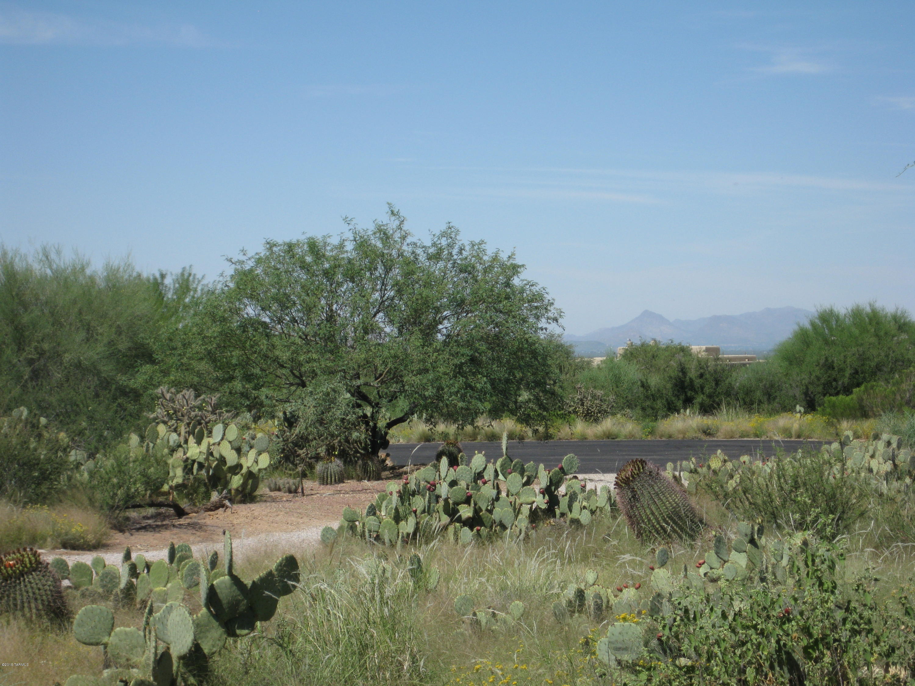 Unsubdivided Sycamore Springs - Residential