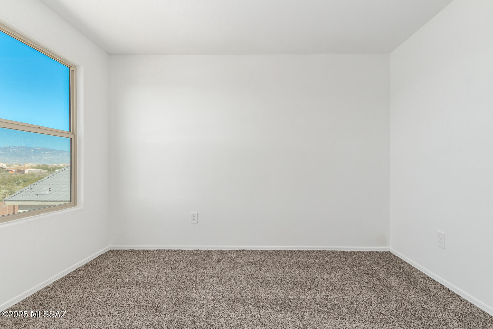 Saguaro Bloom SQ20180540069 - Residential