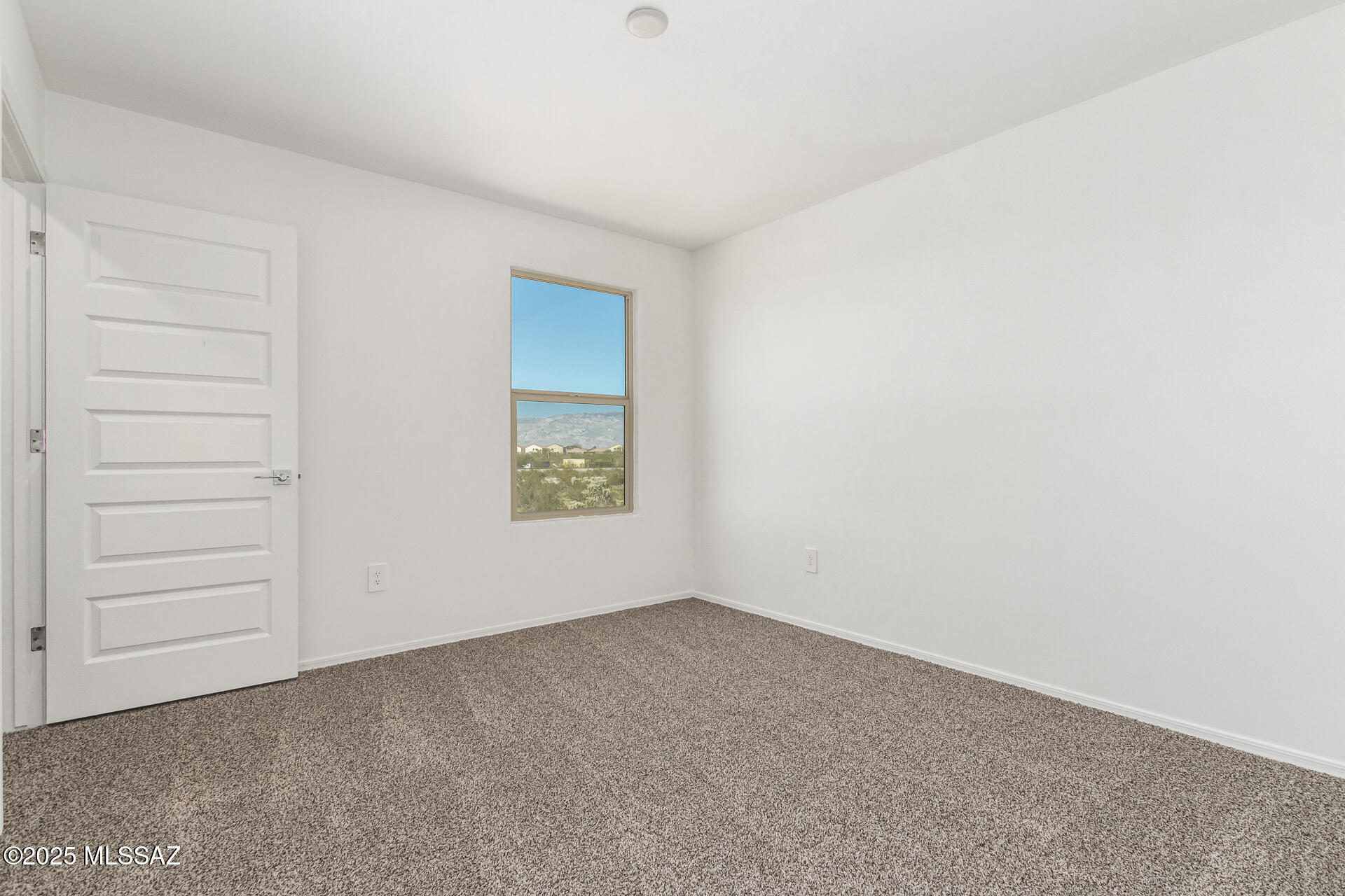 Saguaro Bloom SQ20180540069 - Residential