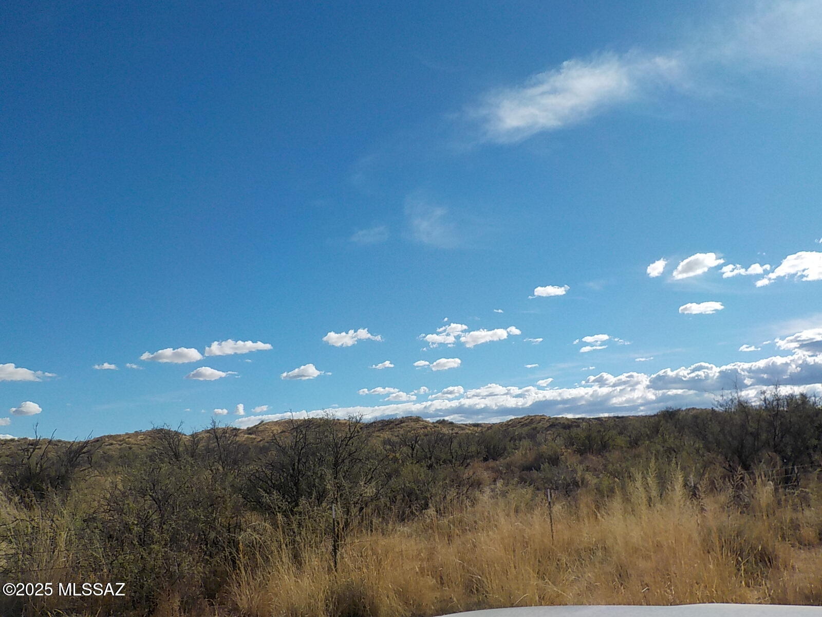 Out Of Pima County - Land