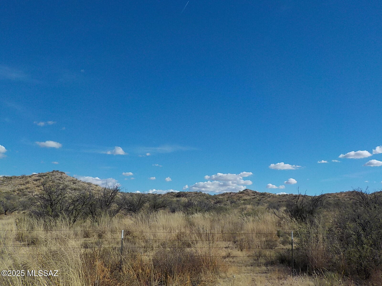 Out Of Pima County - Land