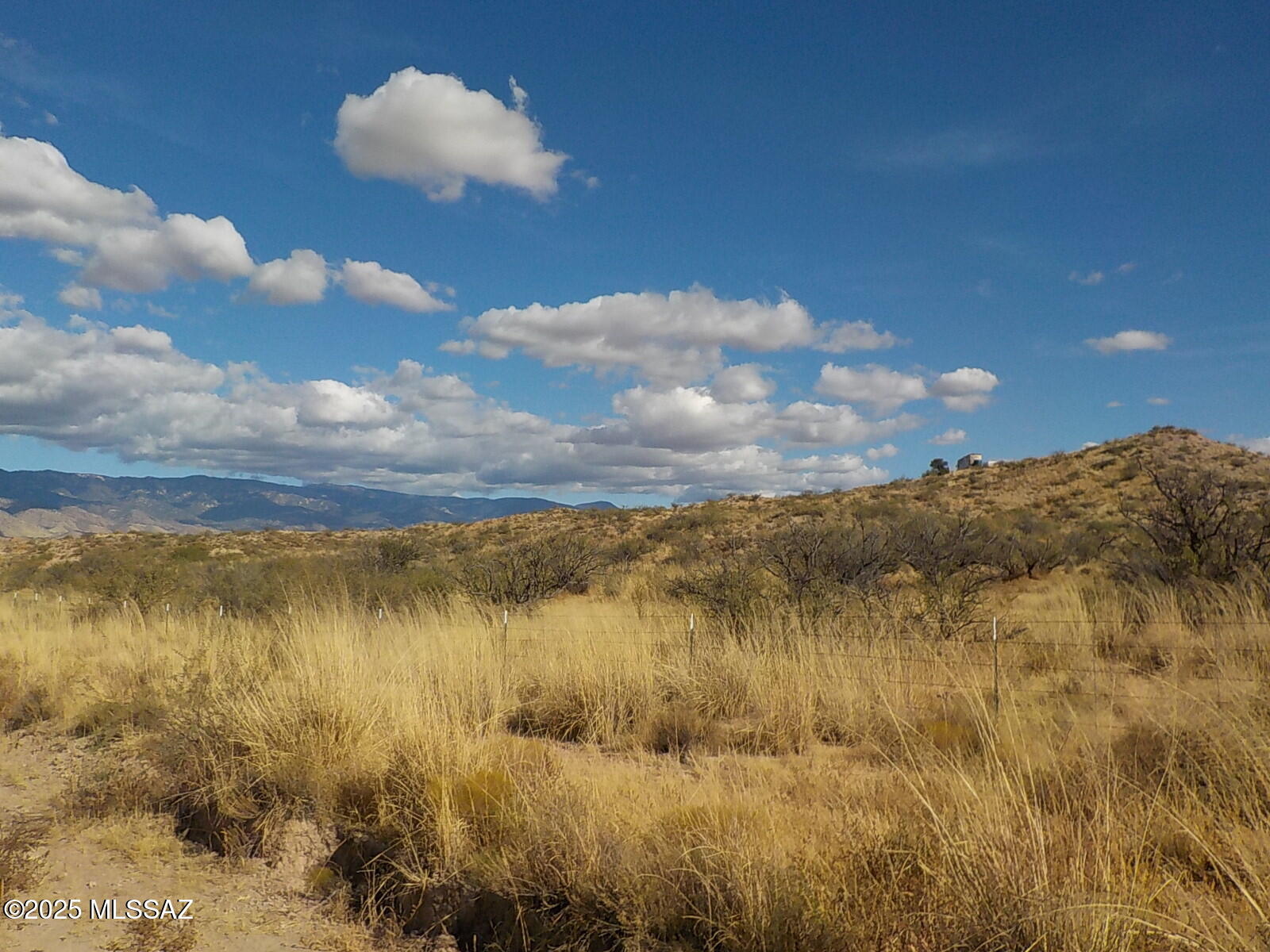 Out Of Pima County - Land