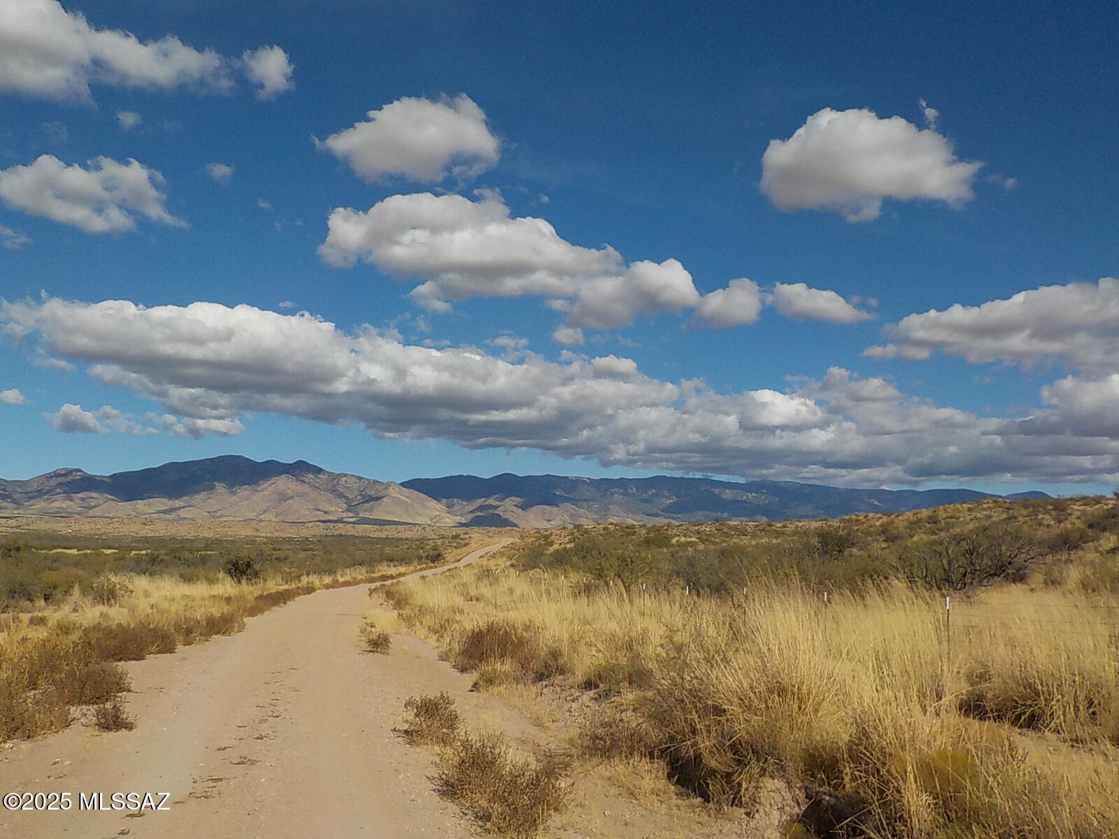 Out Of Pima County - Land