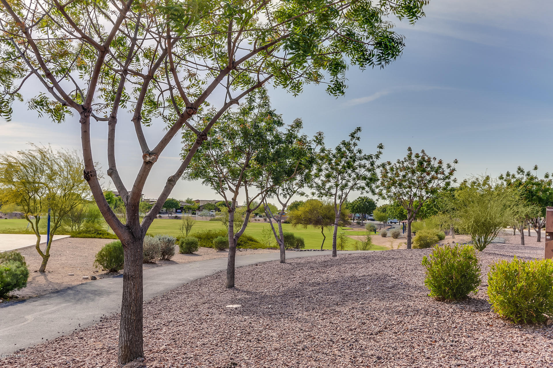 Sycamore Park Village 5 (1-219) - Residential