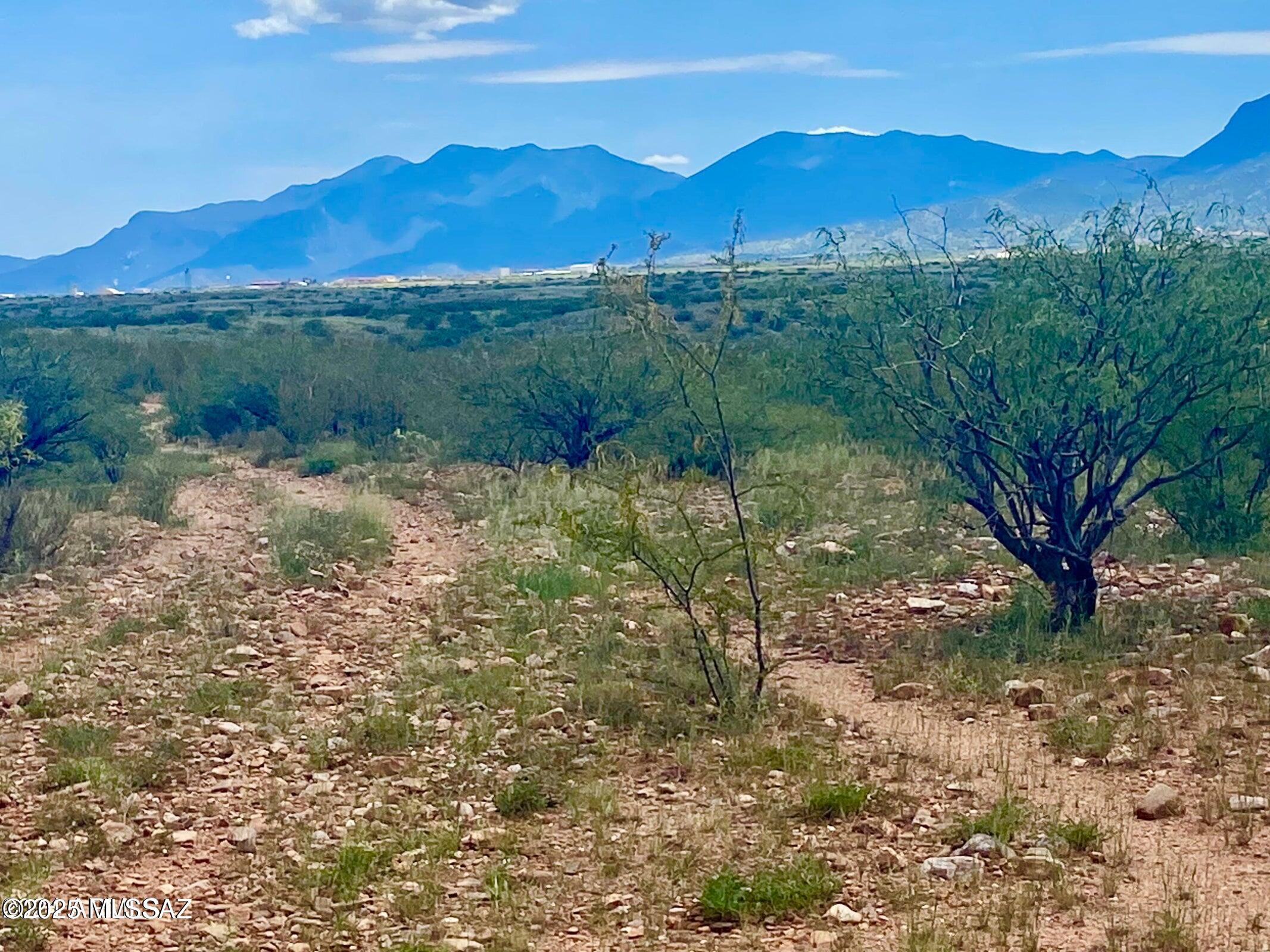 Out Of Pima County - Land