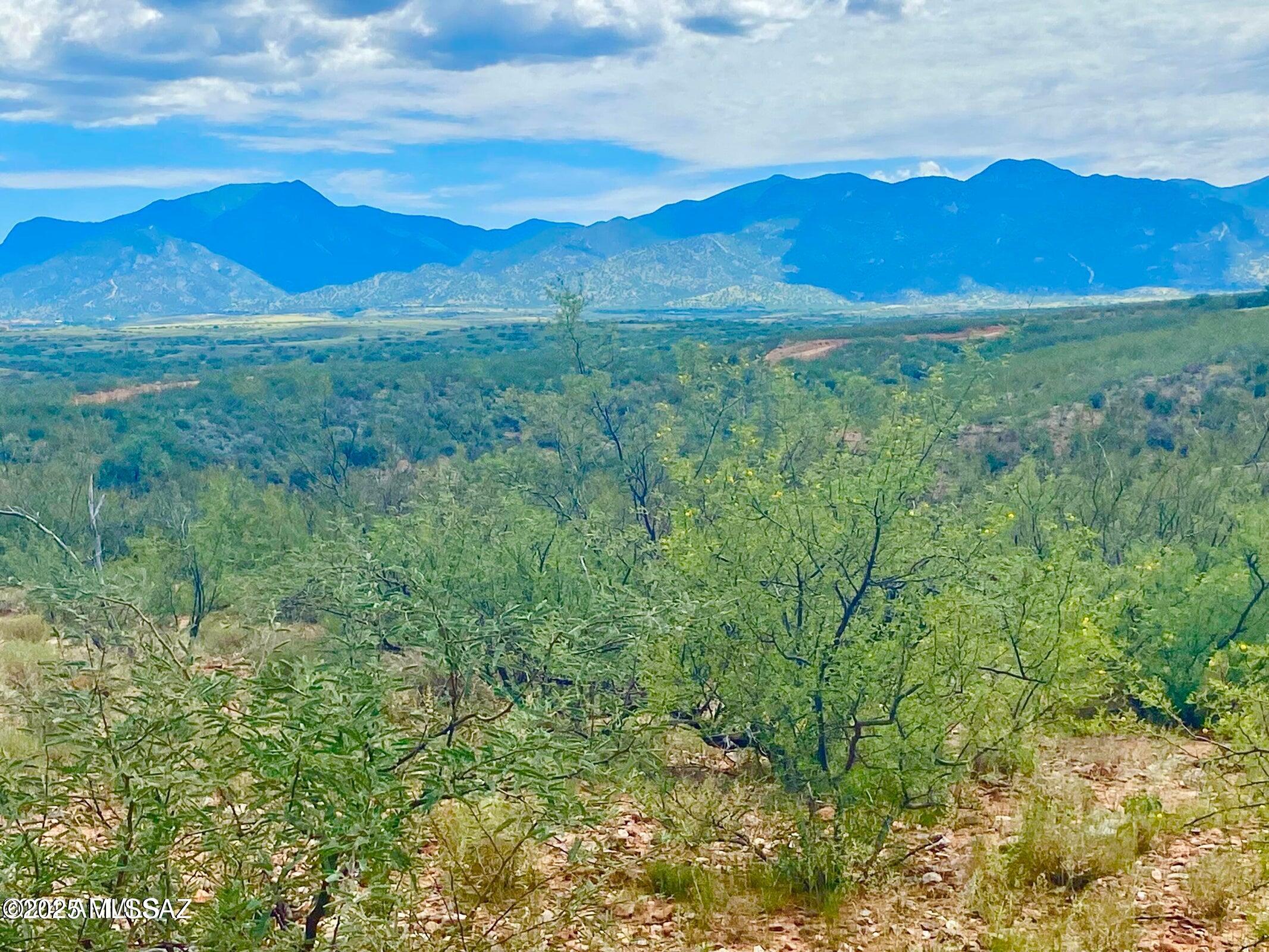 Out Of Pima County - Land