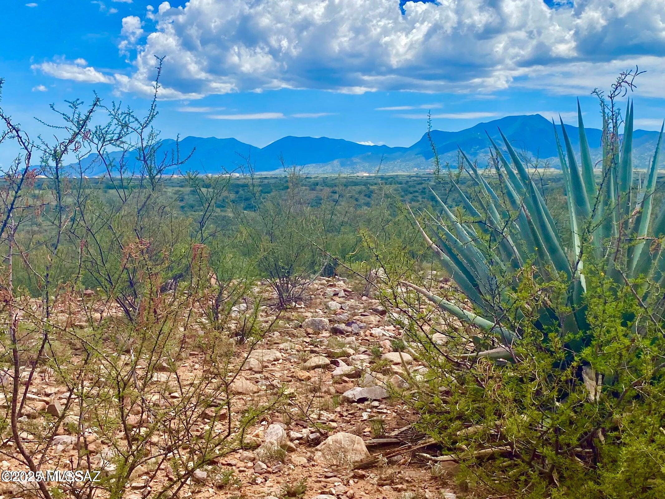 Out Of Pima County - Land