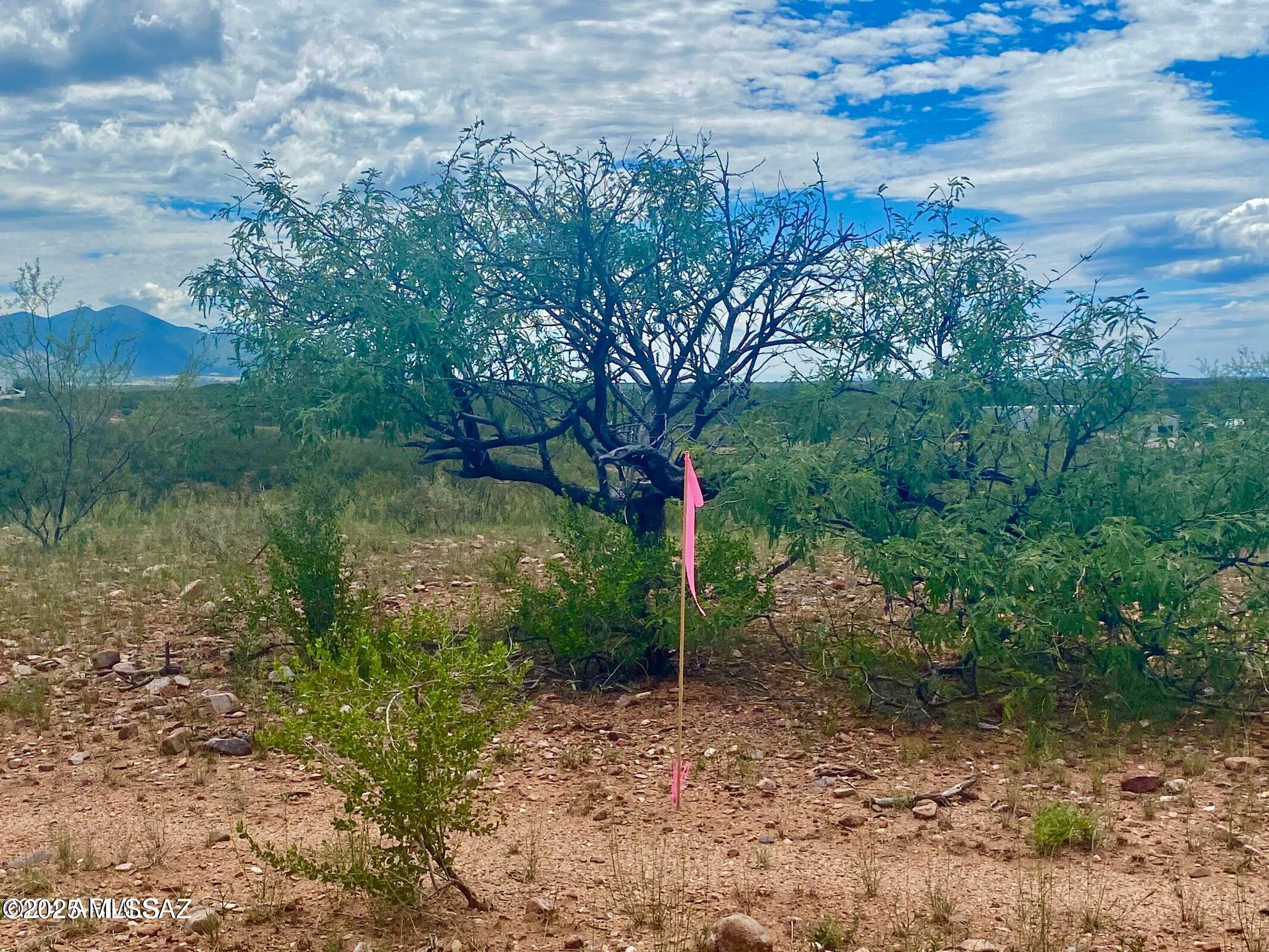 Out Of Pima County - Land